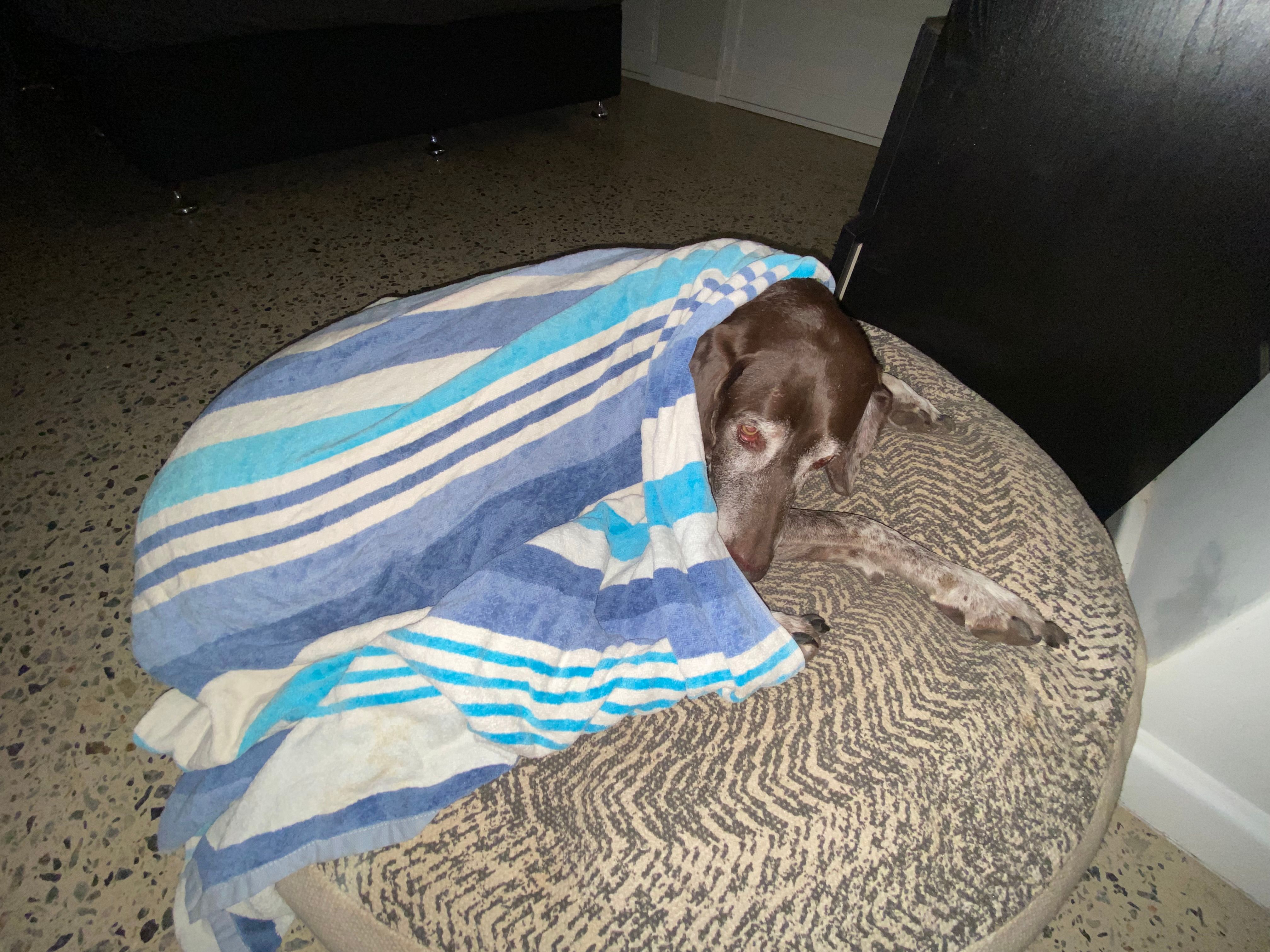image-7