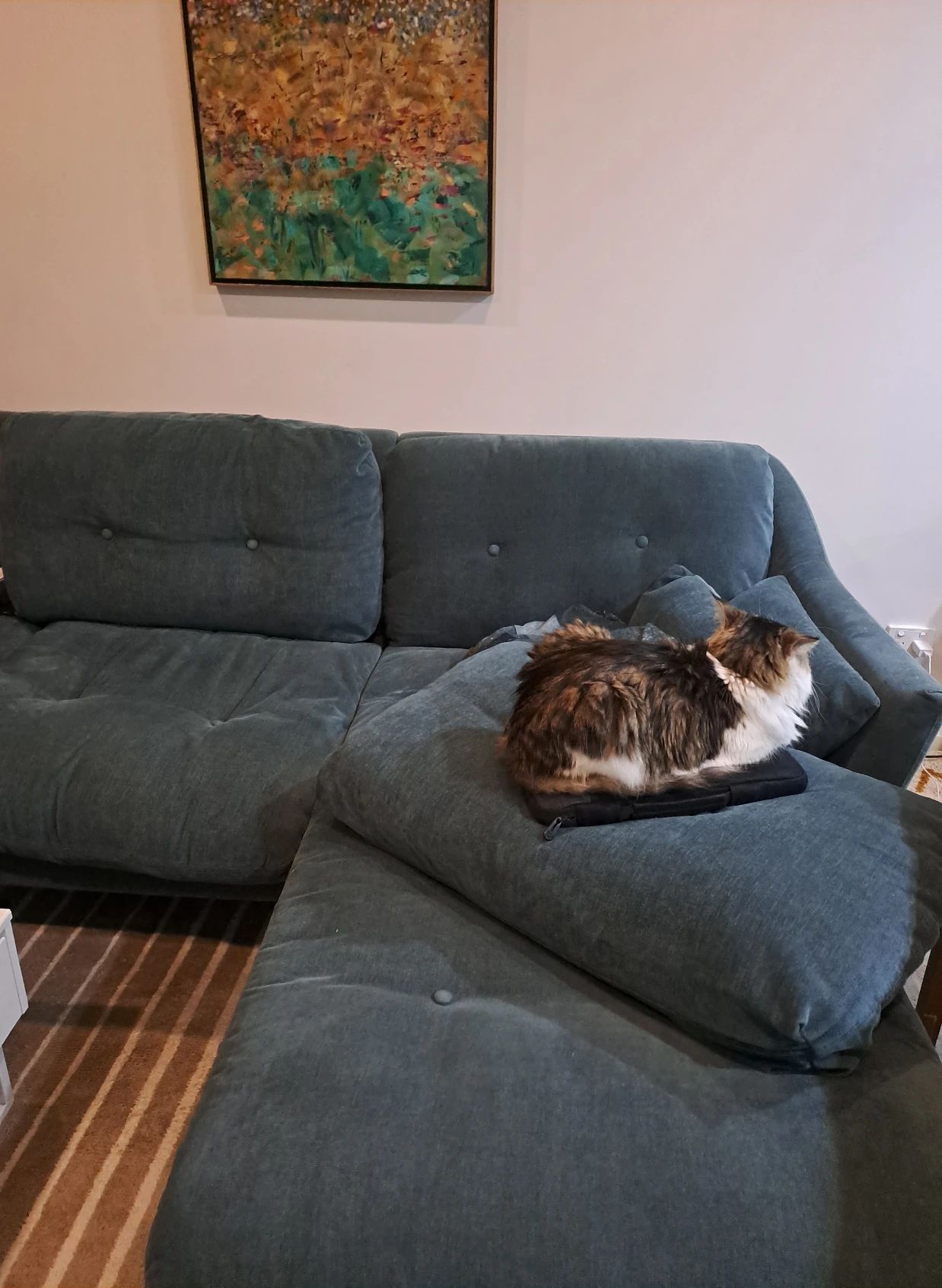 image-7
