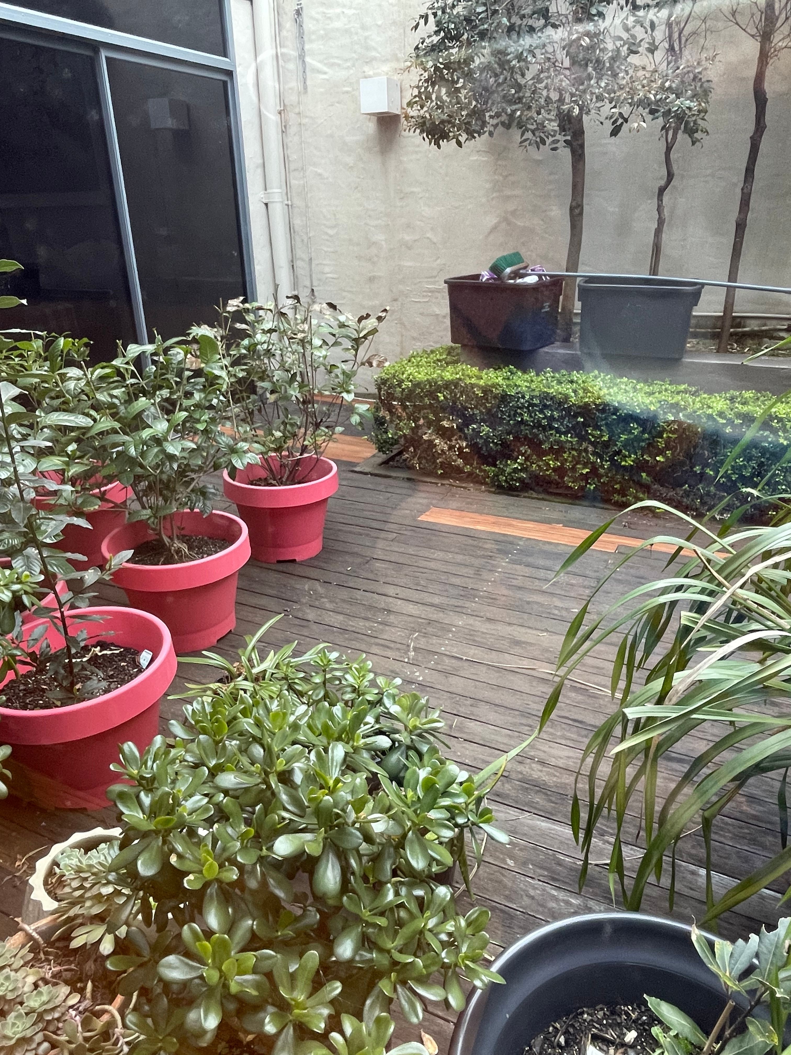 image-14