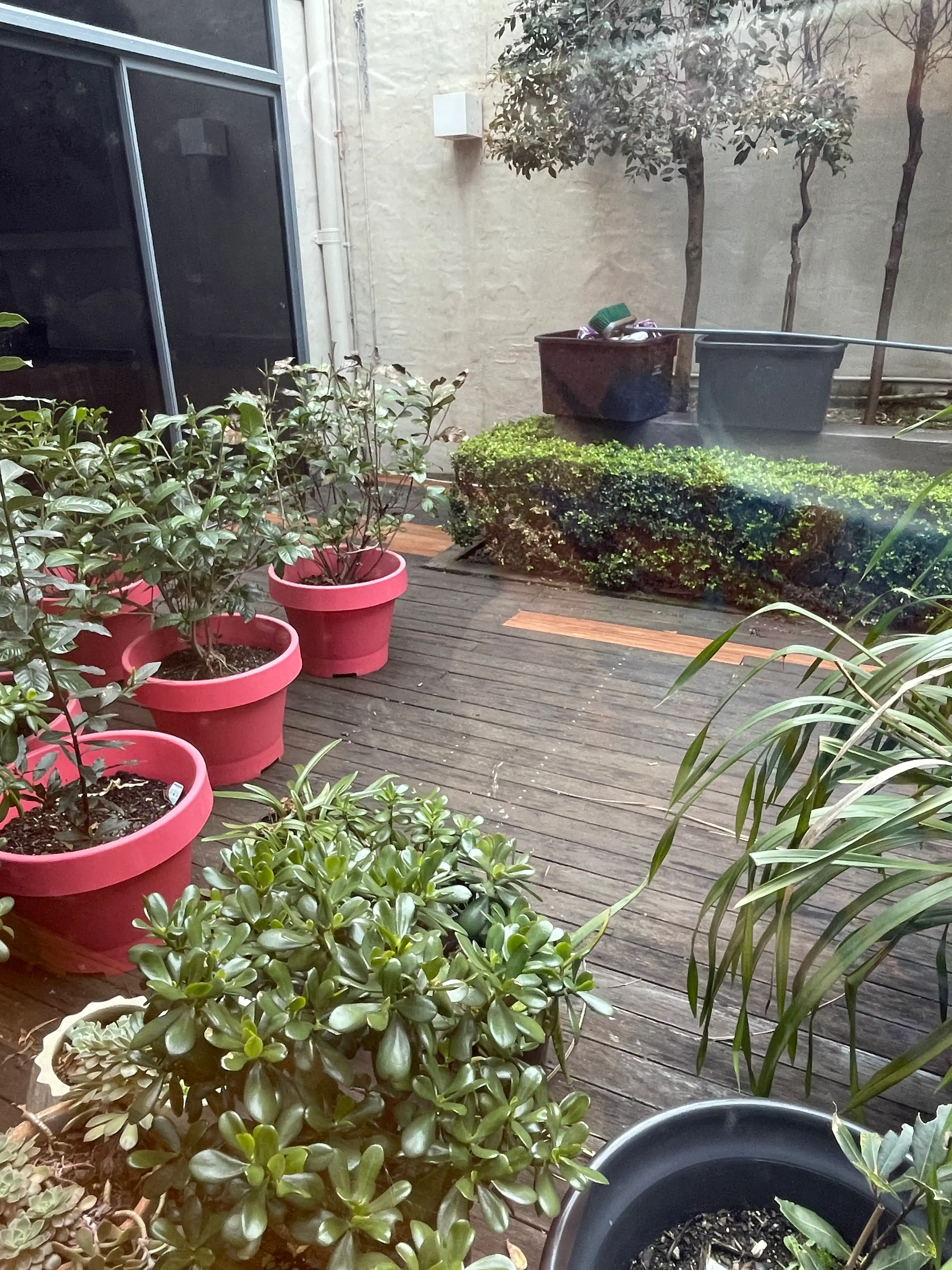 image-14