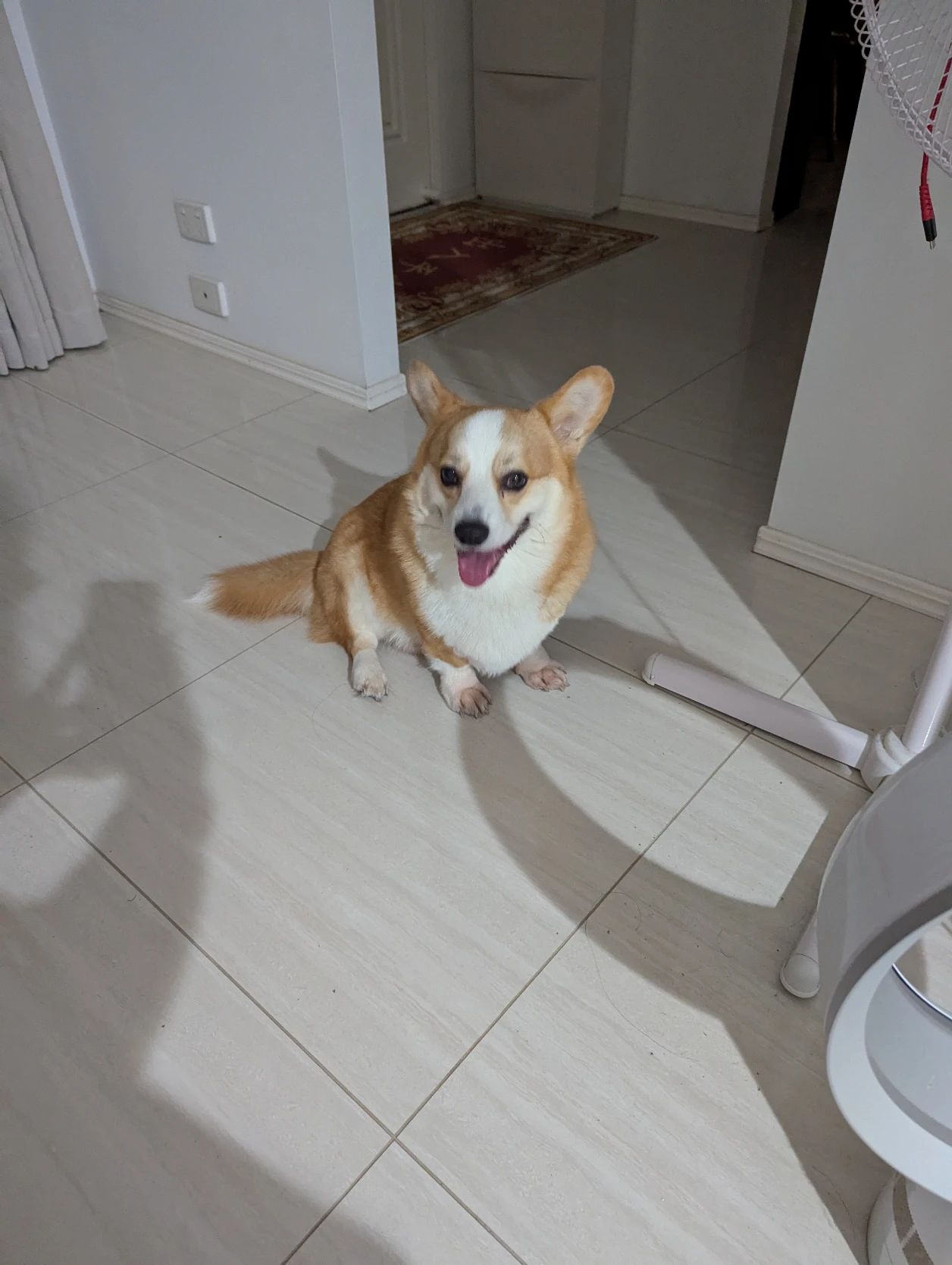 image-10