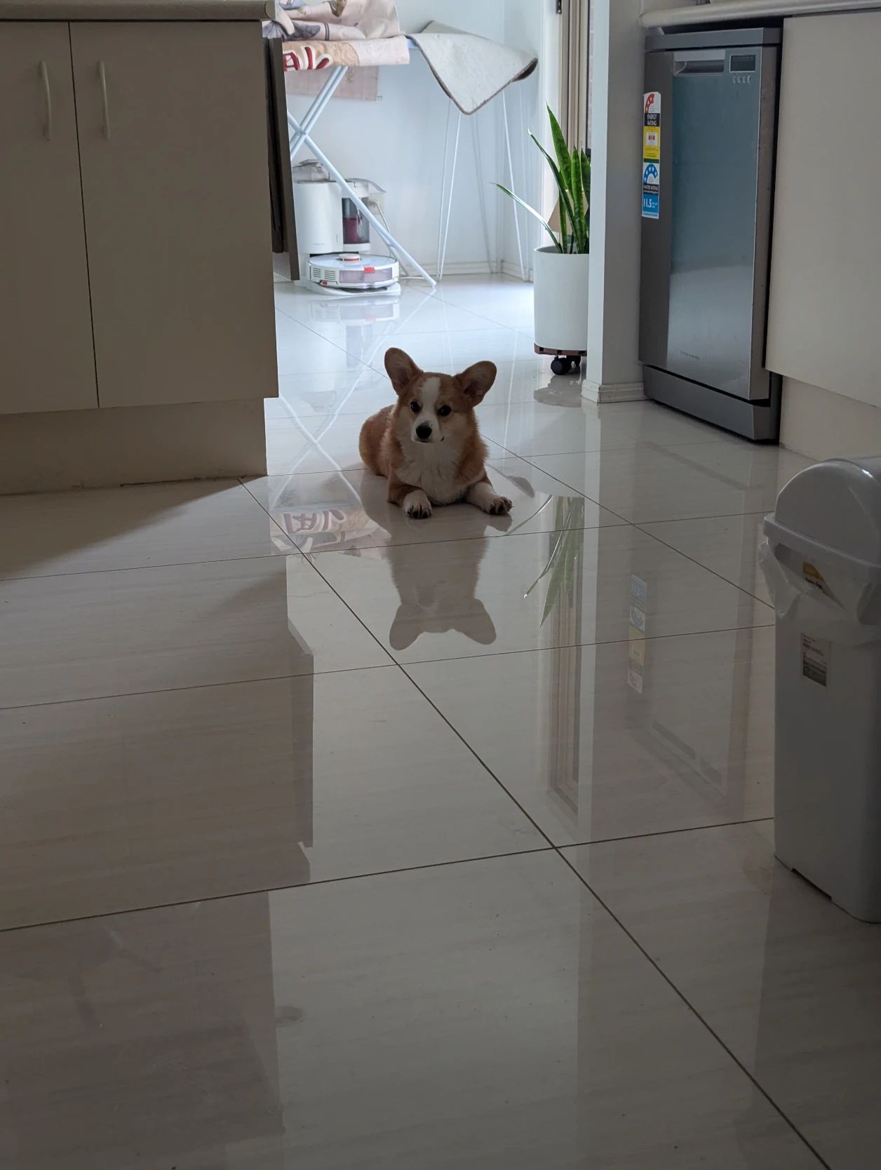 image-7