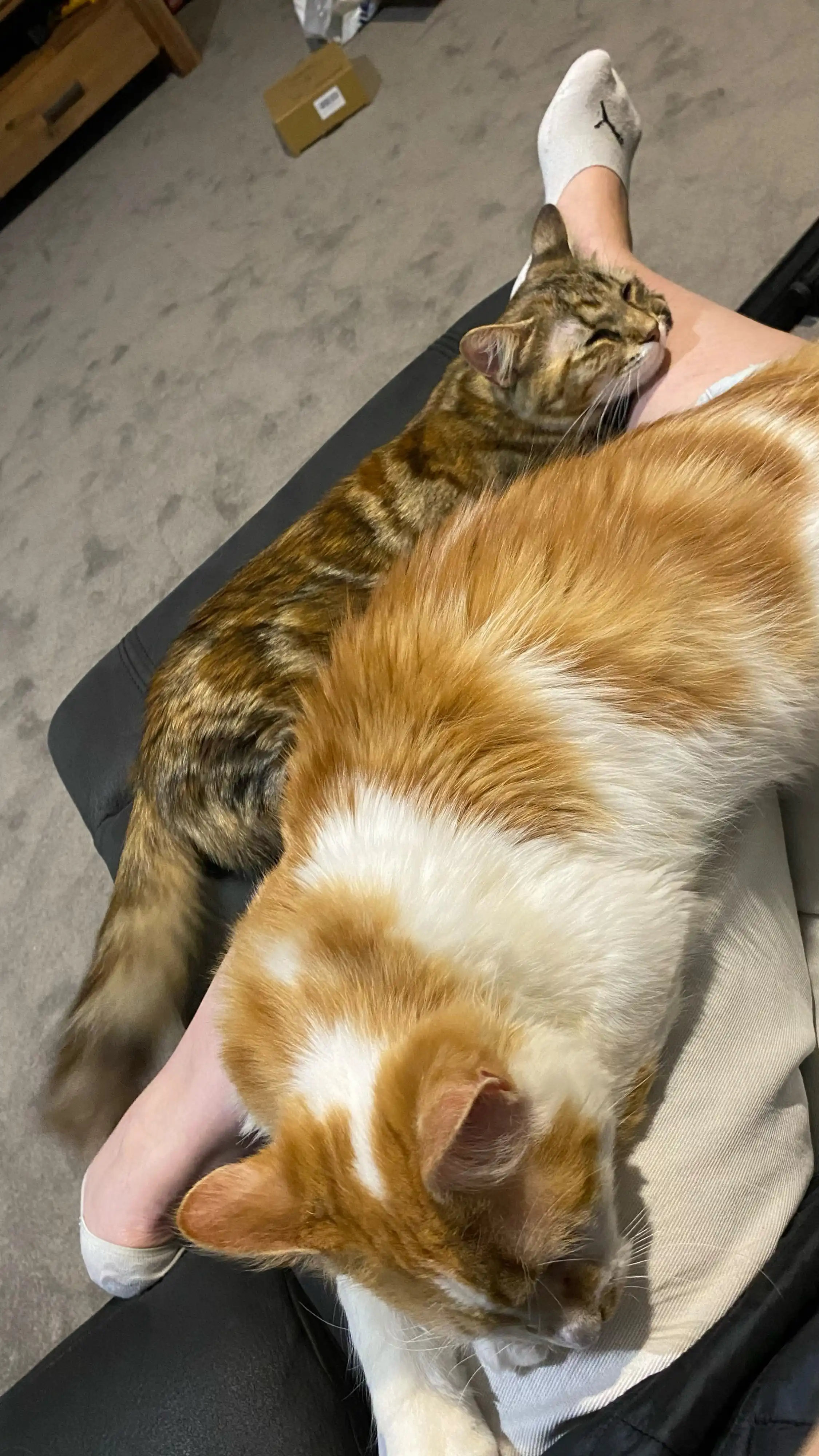 image-6