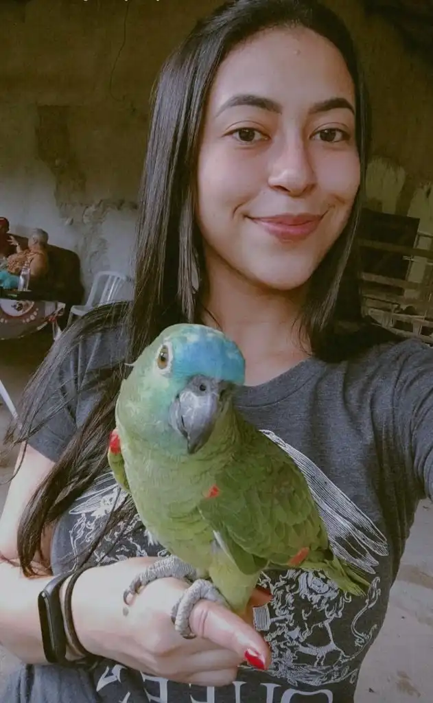 image-11