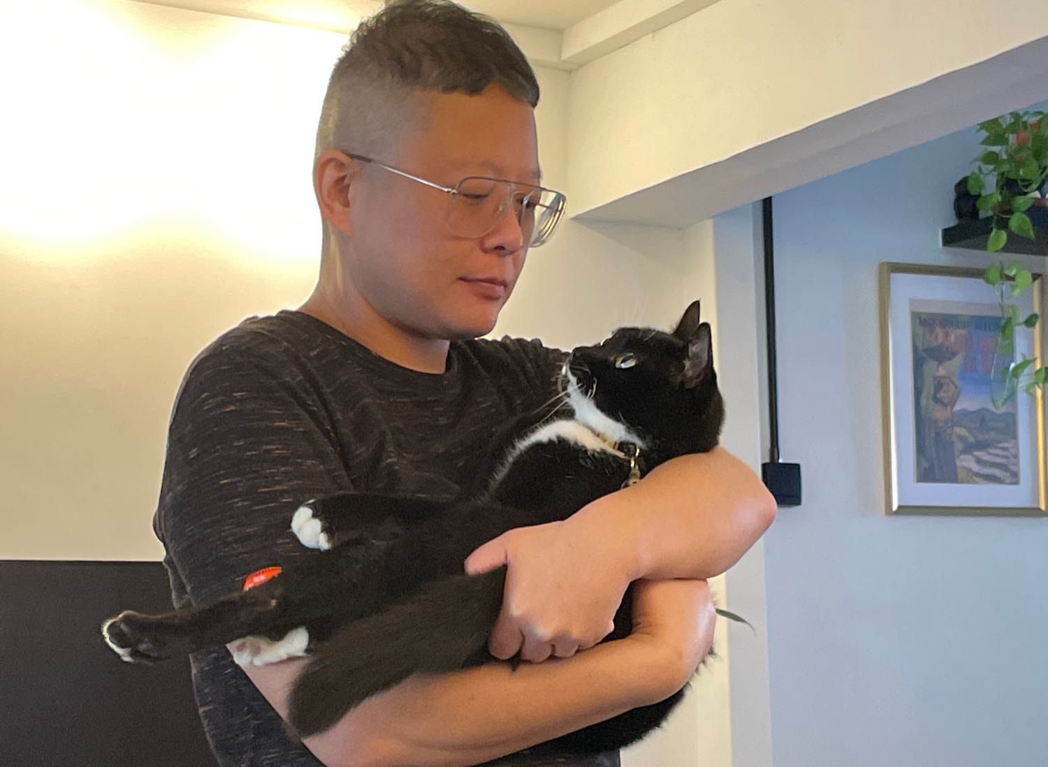 image-6