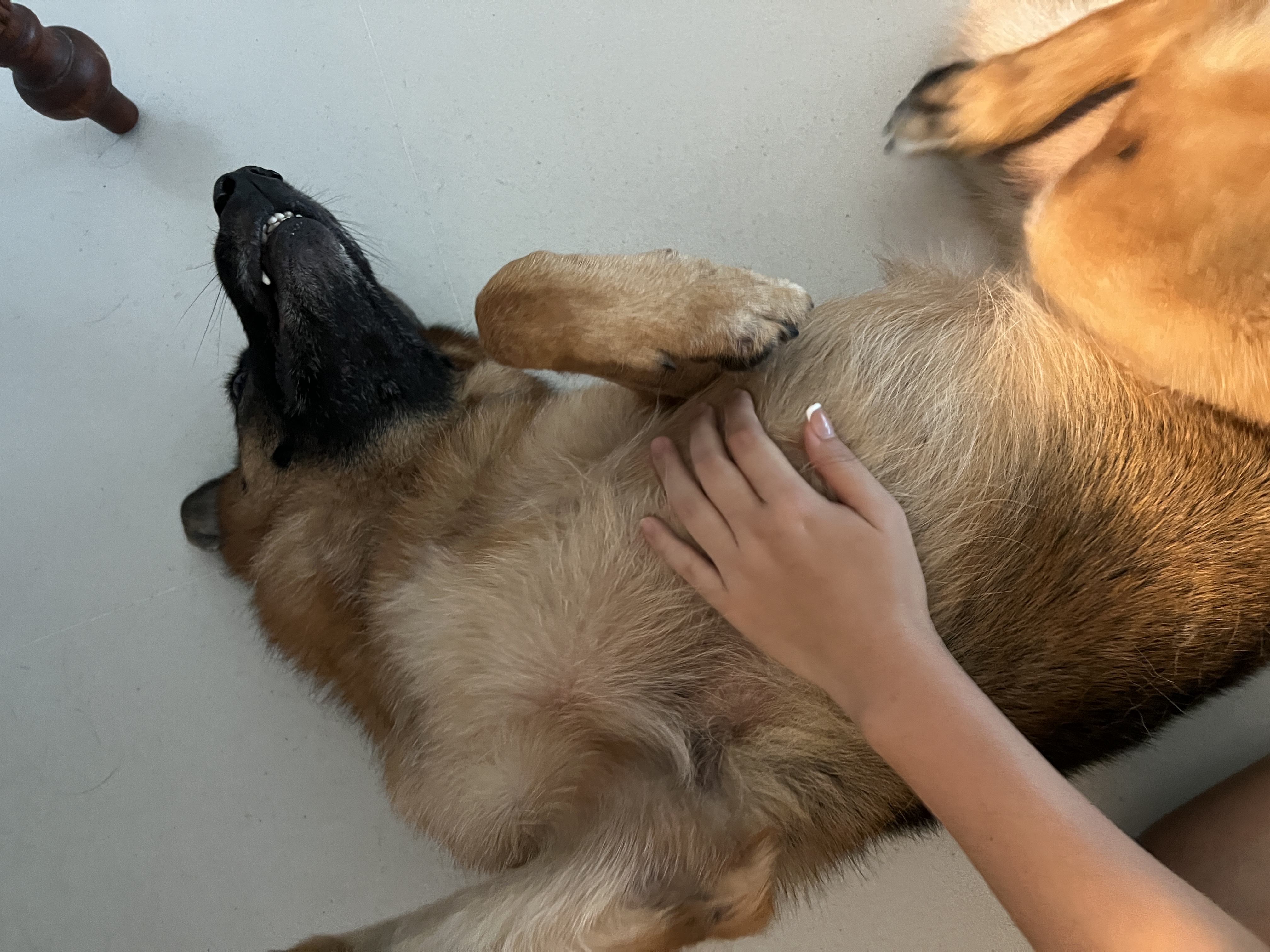 image-6