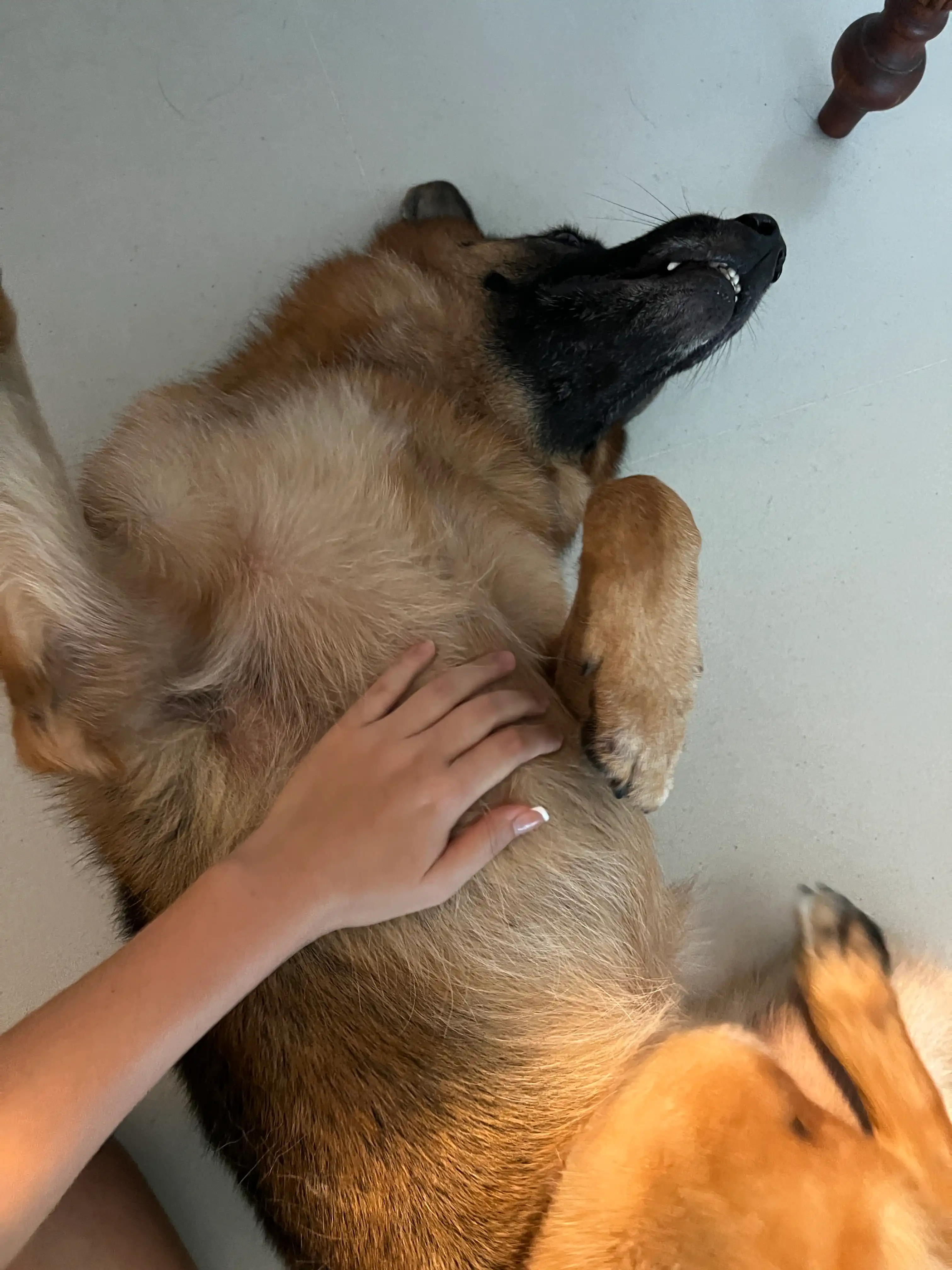 image-6