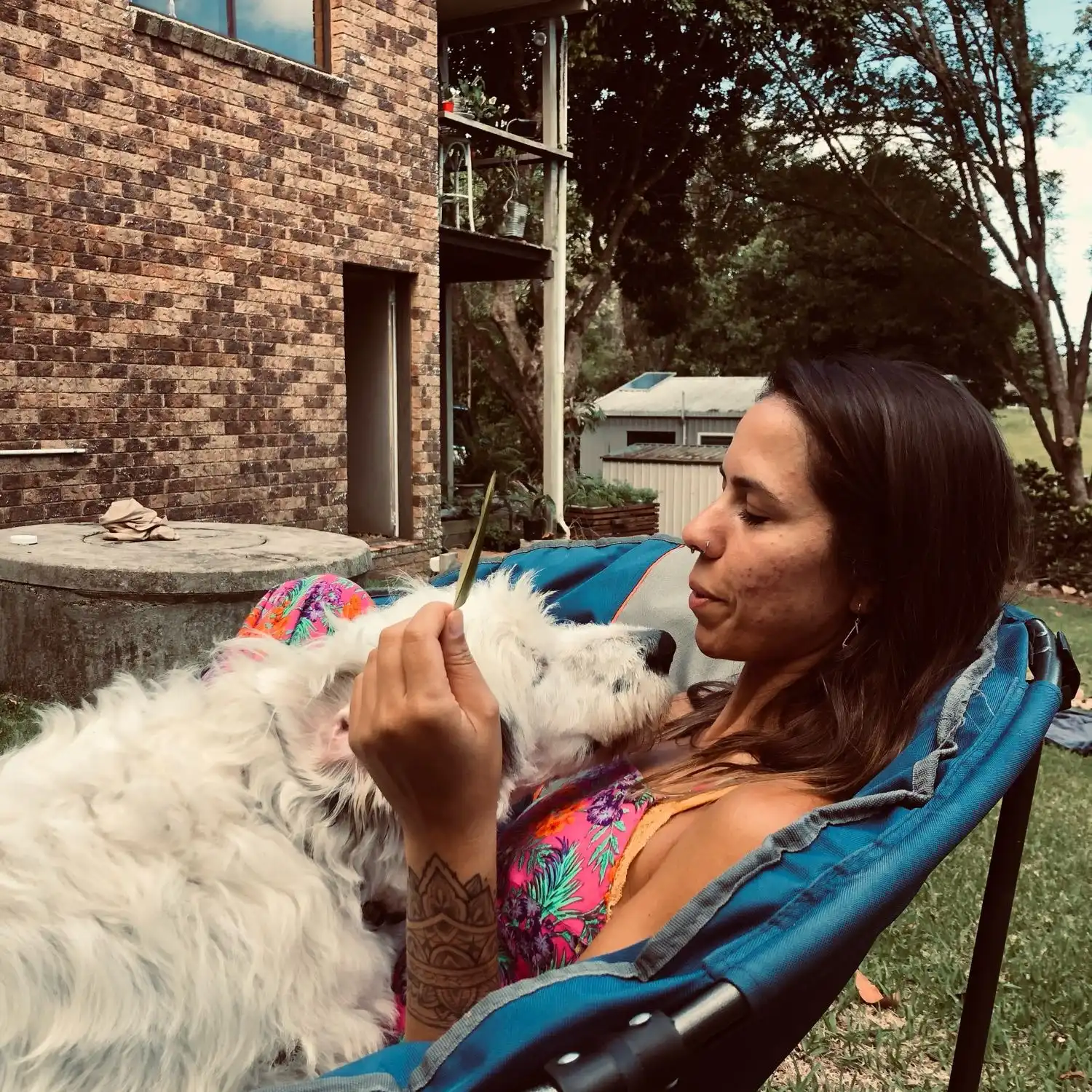 Dani