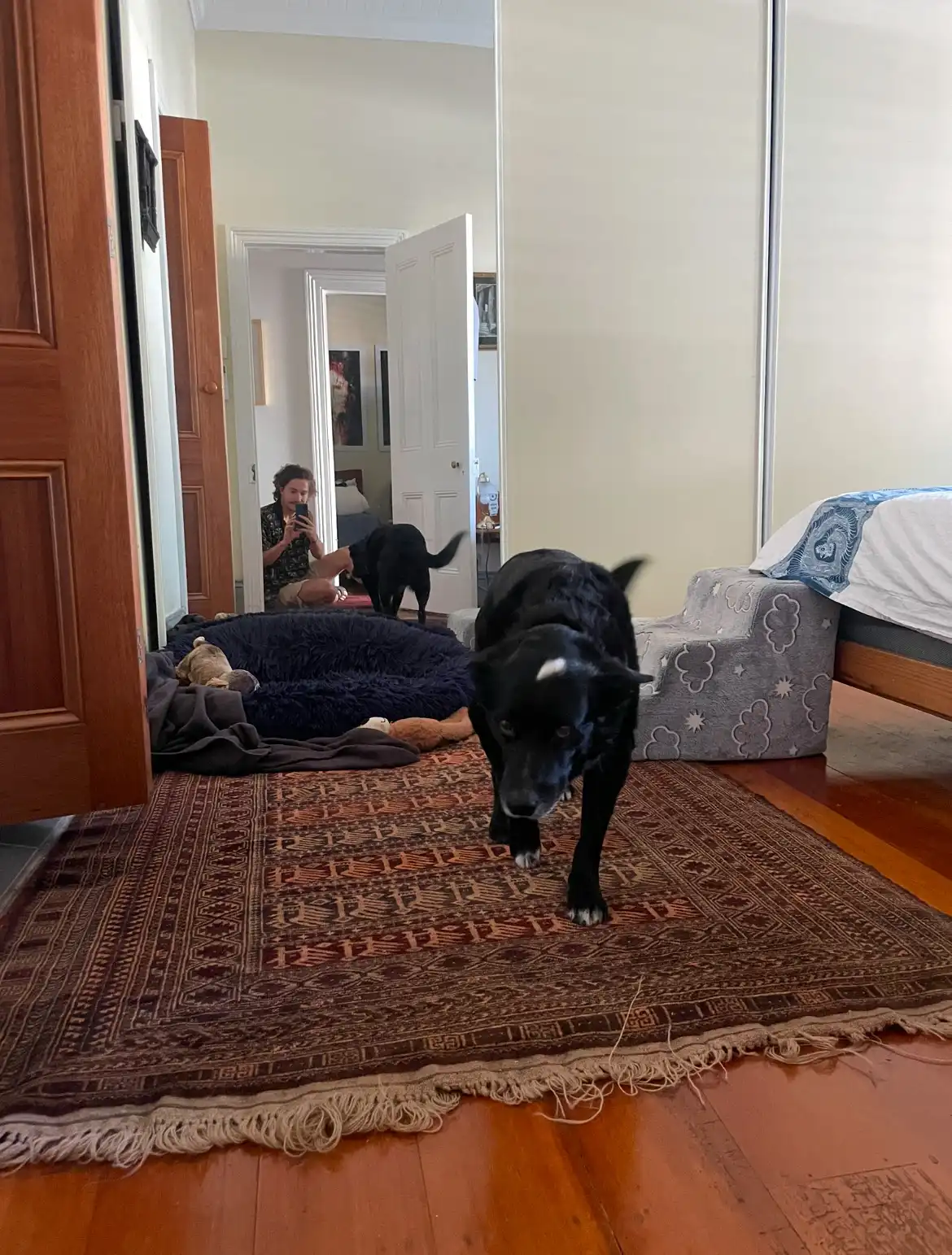 image-10