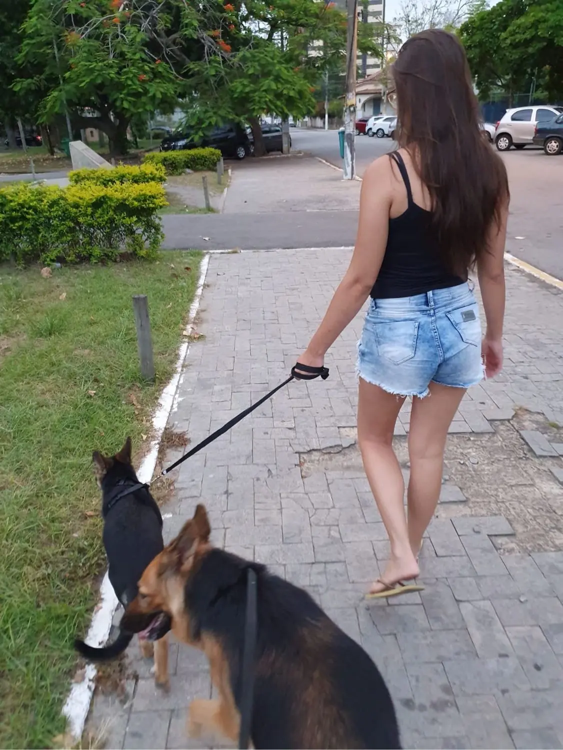 image-2