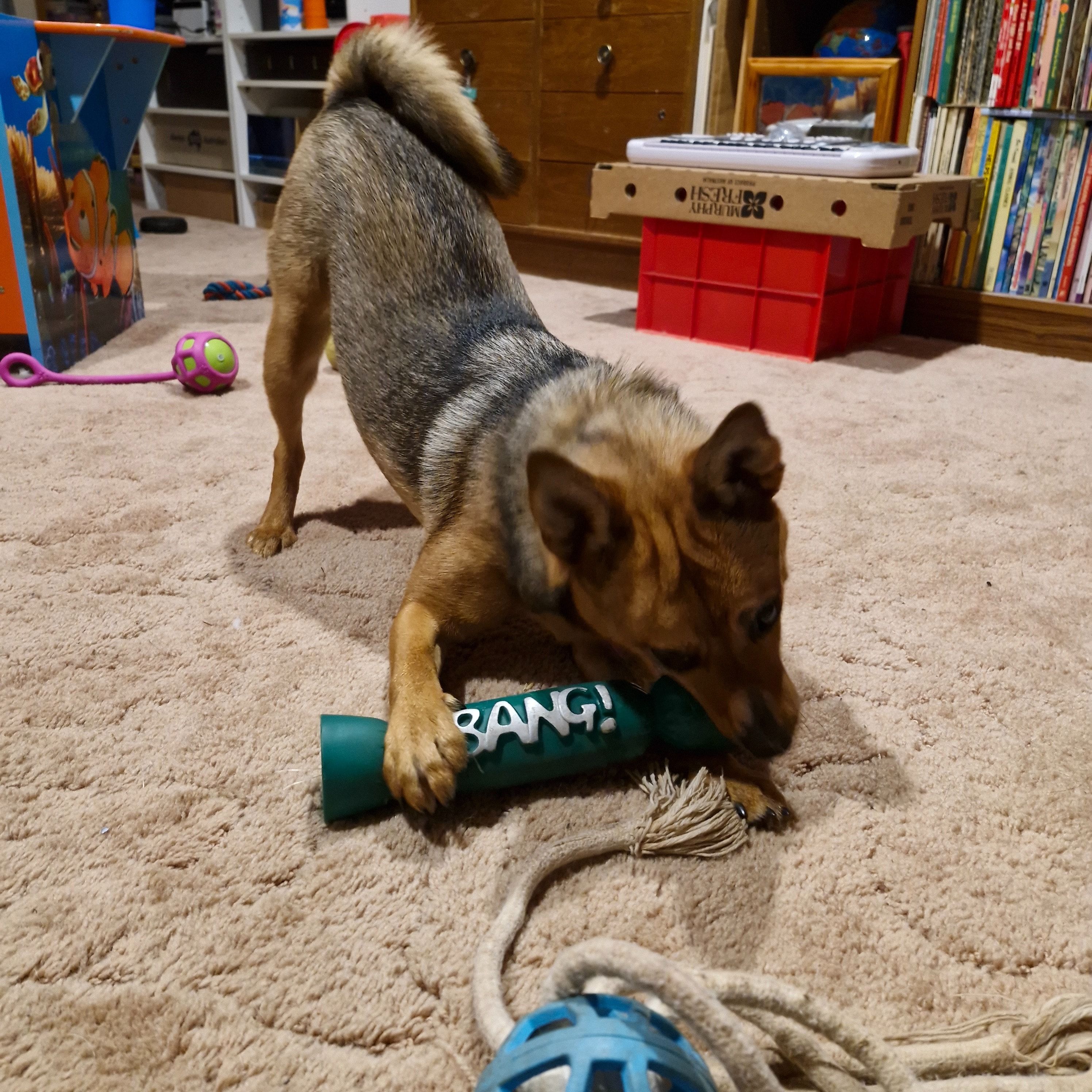image-6