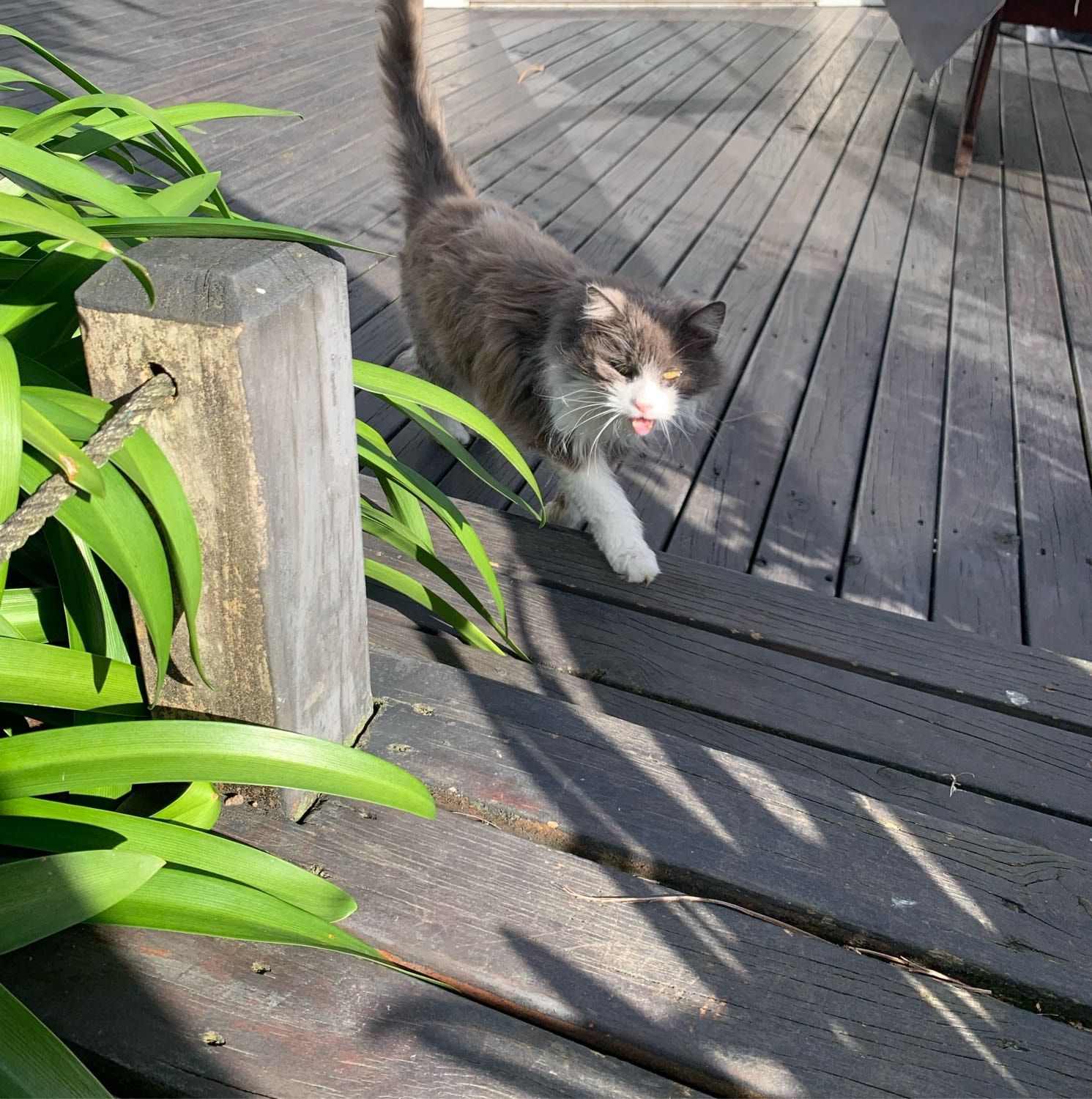 image-11