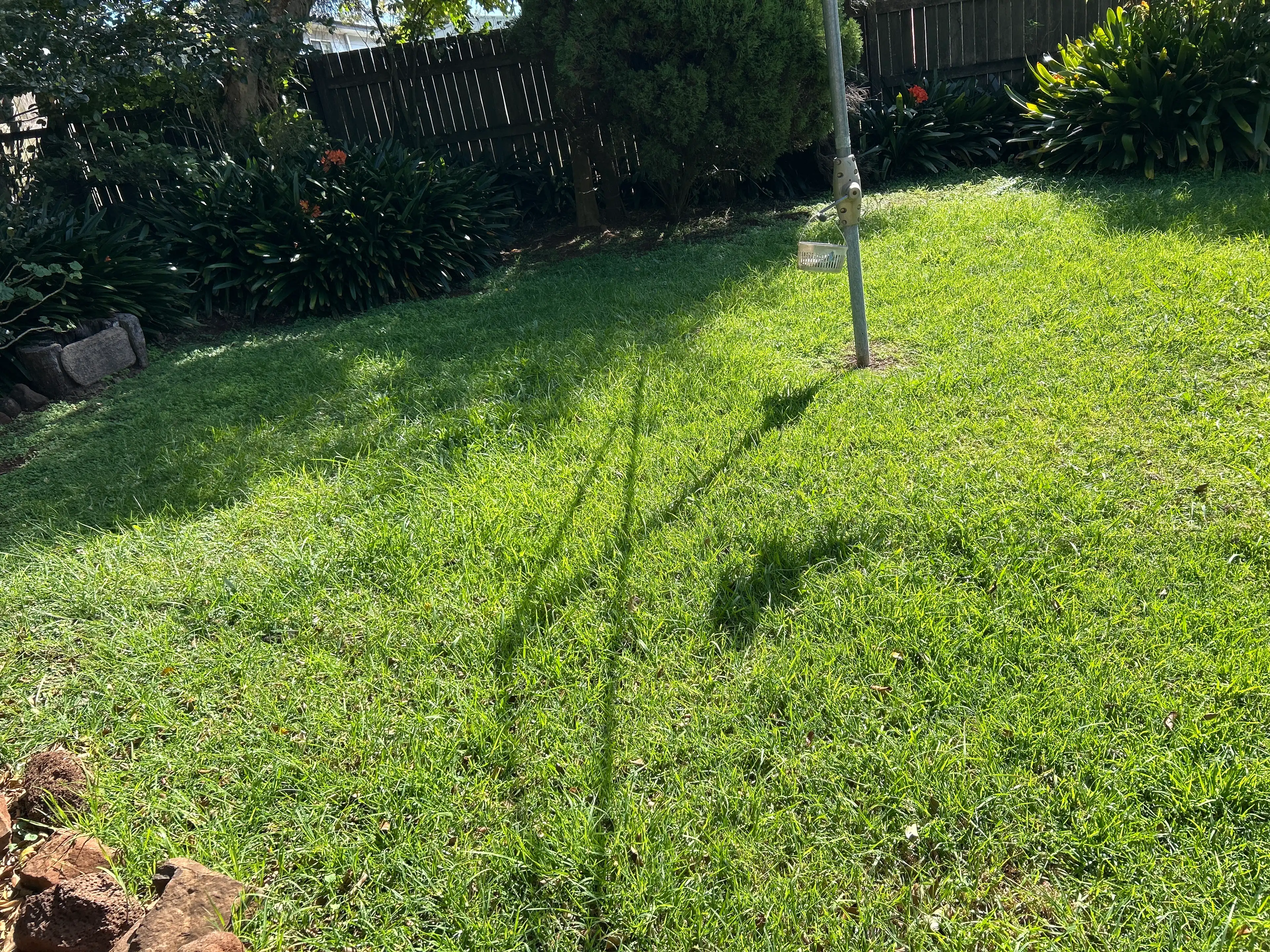 image-13
