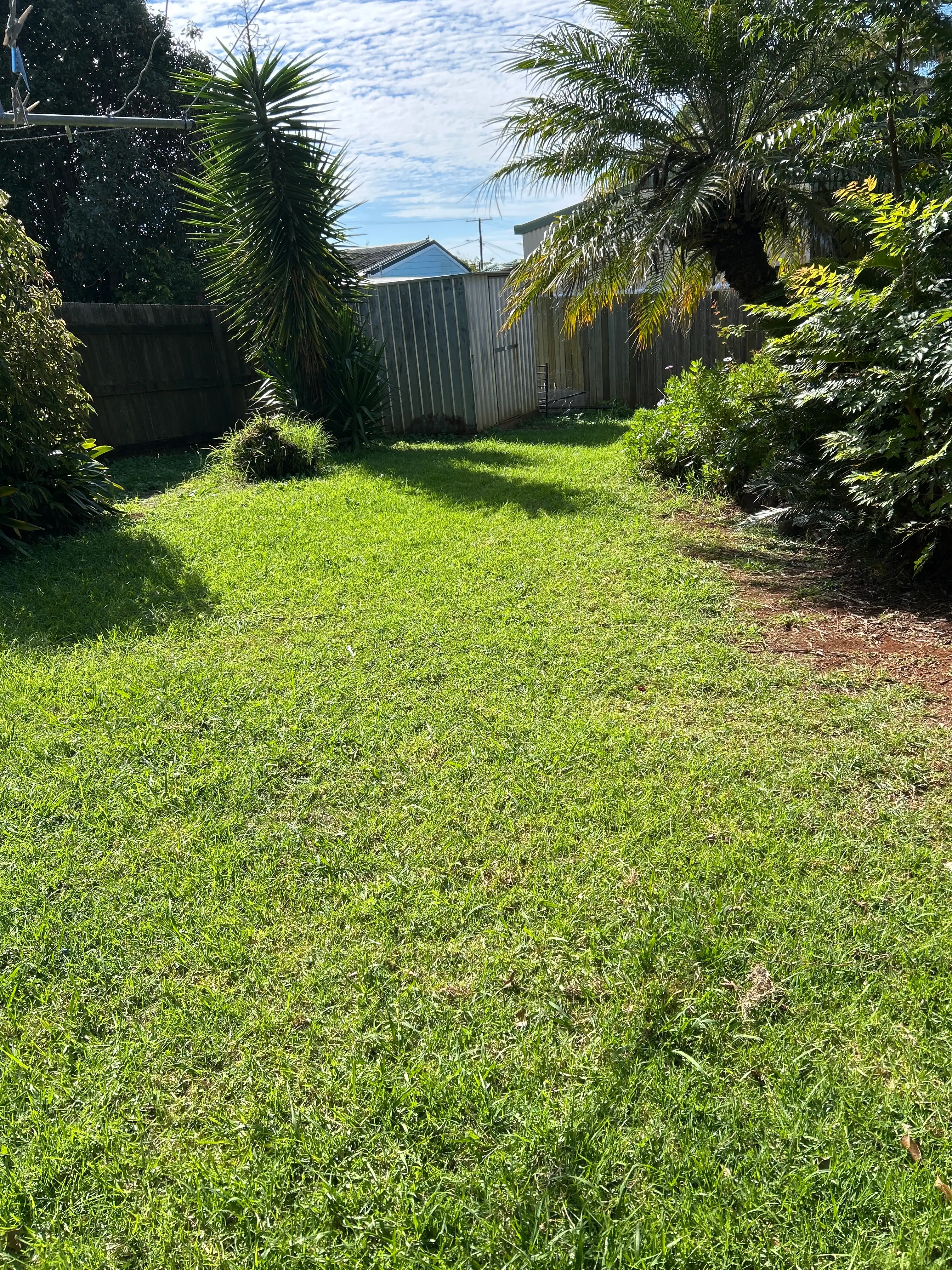 image-14
