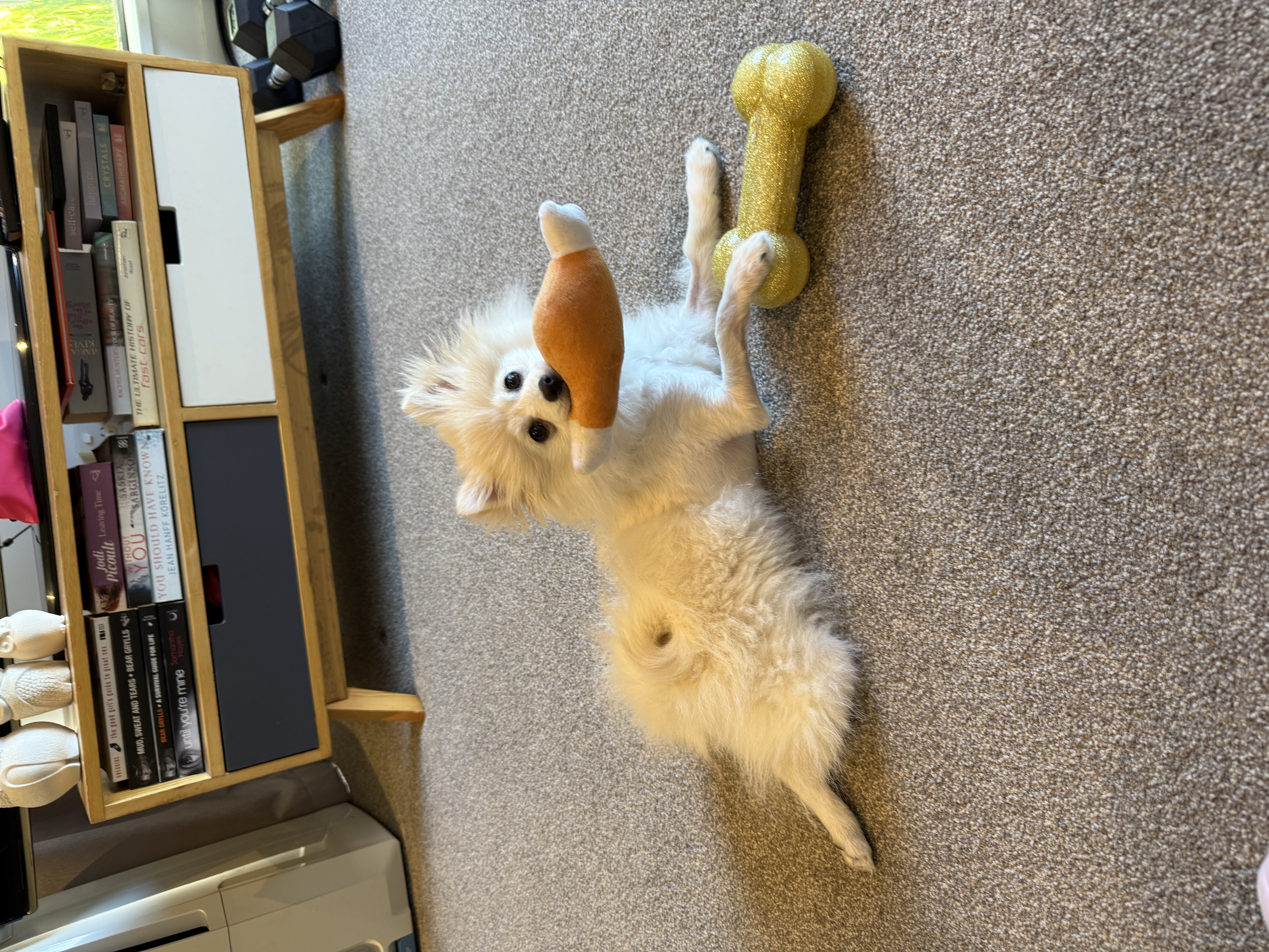 image-7