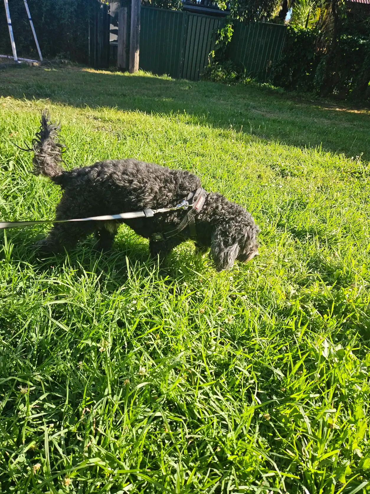 image-8