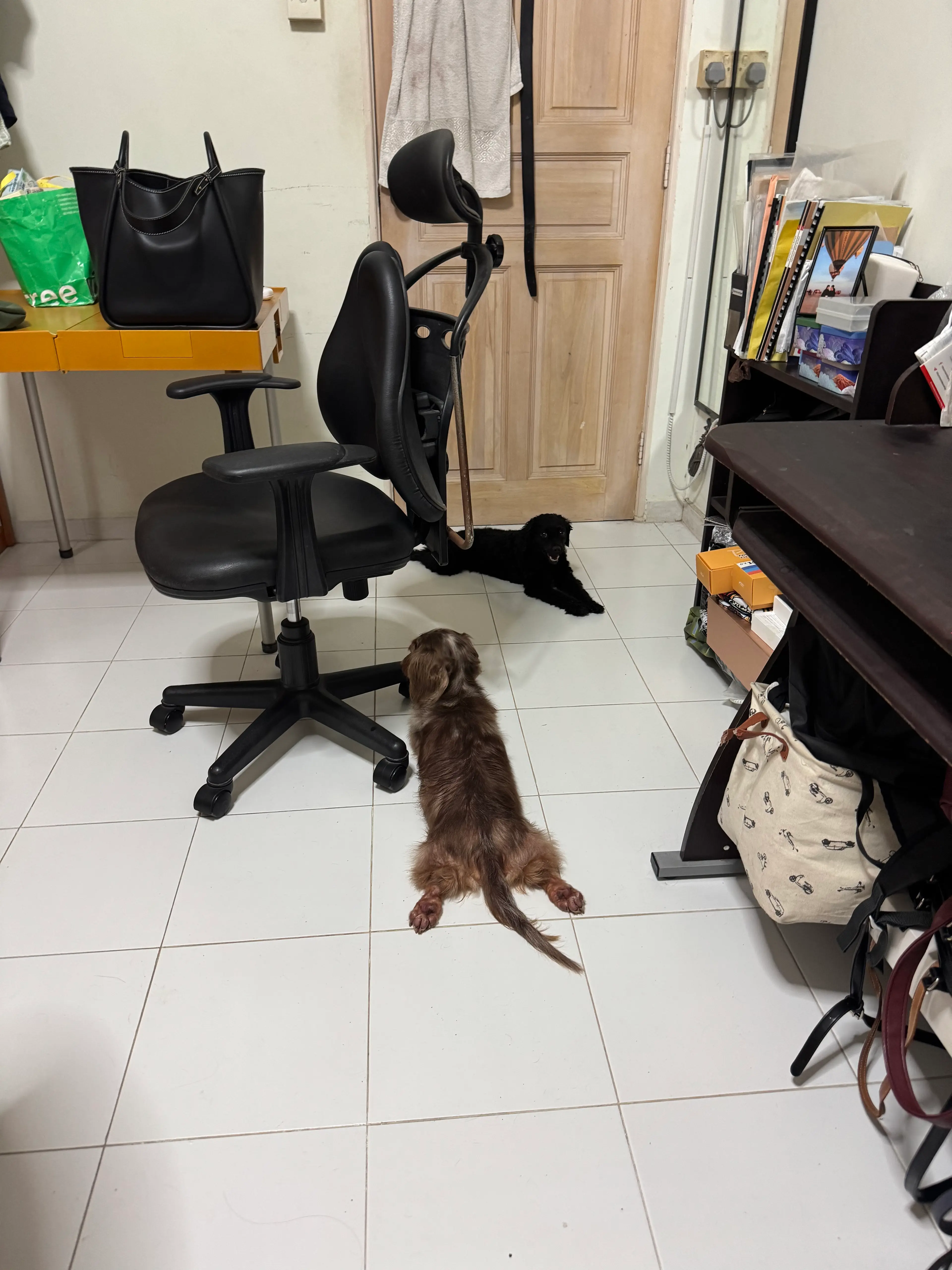 image-4