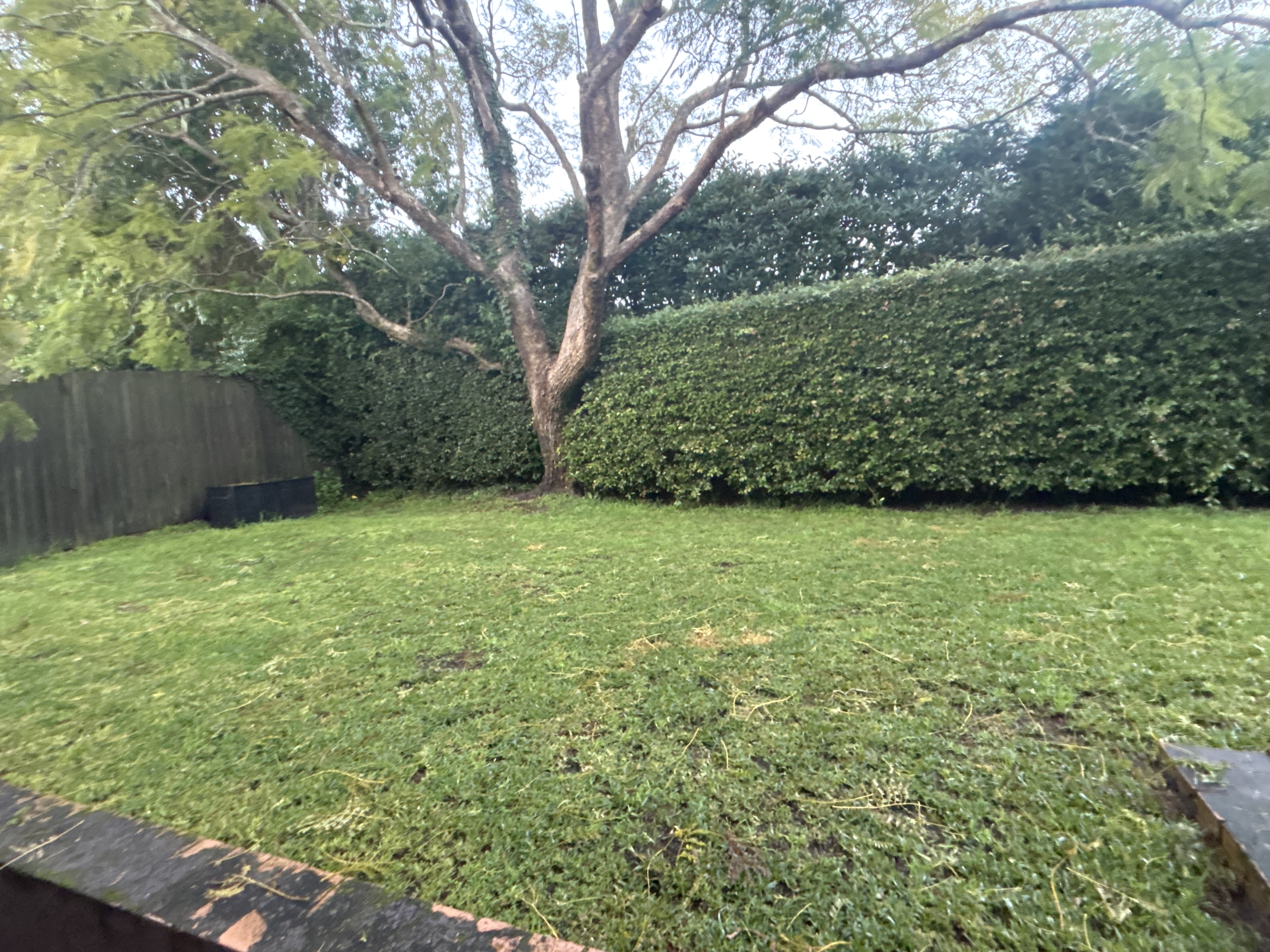 image-26