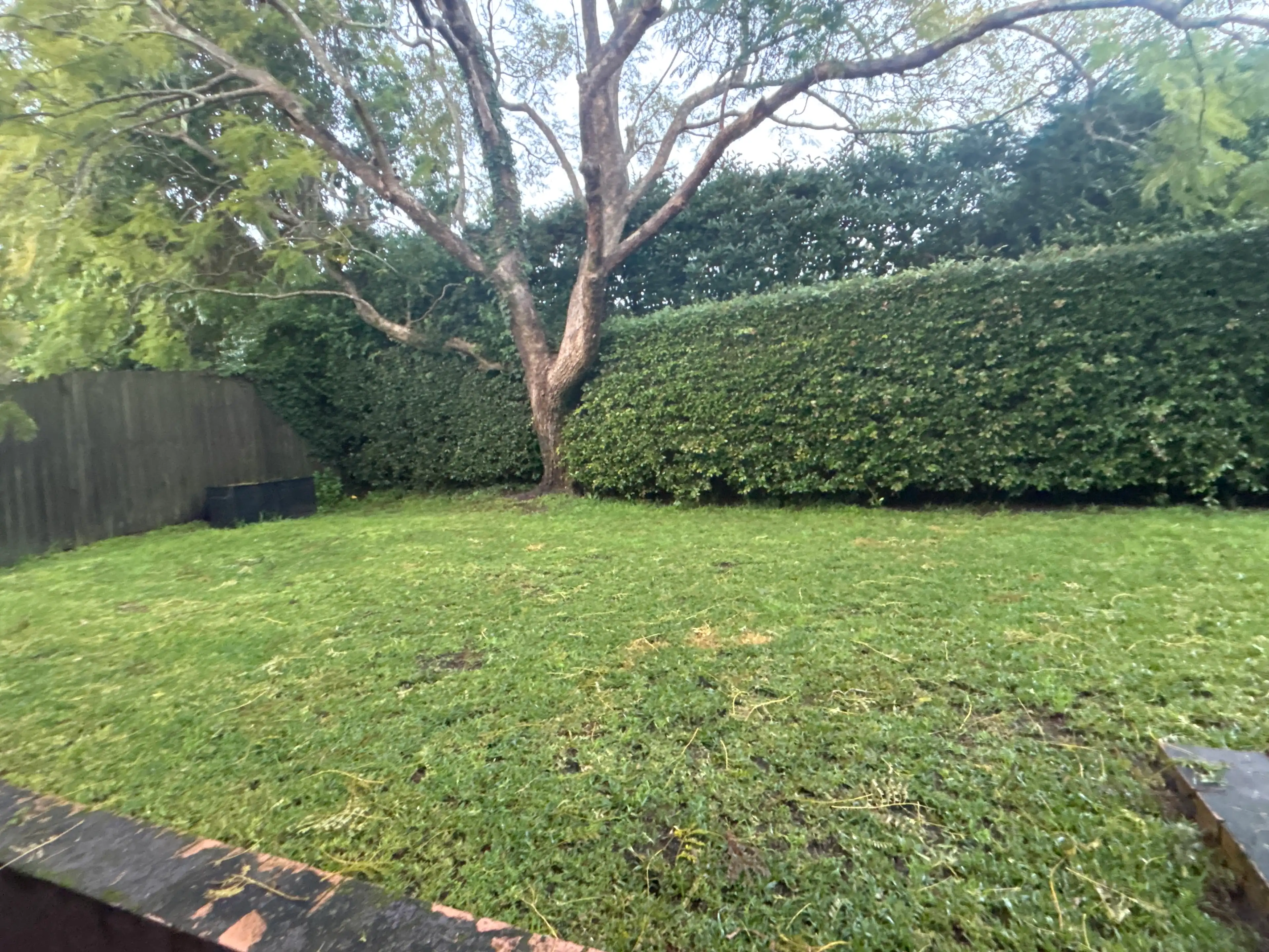 image-26
