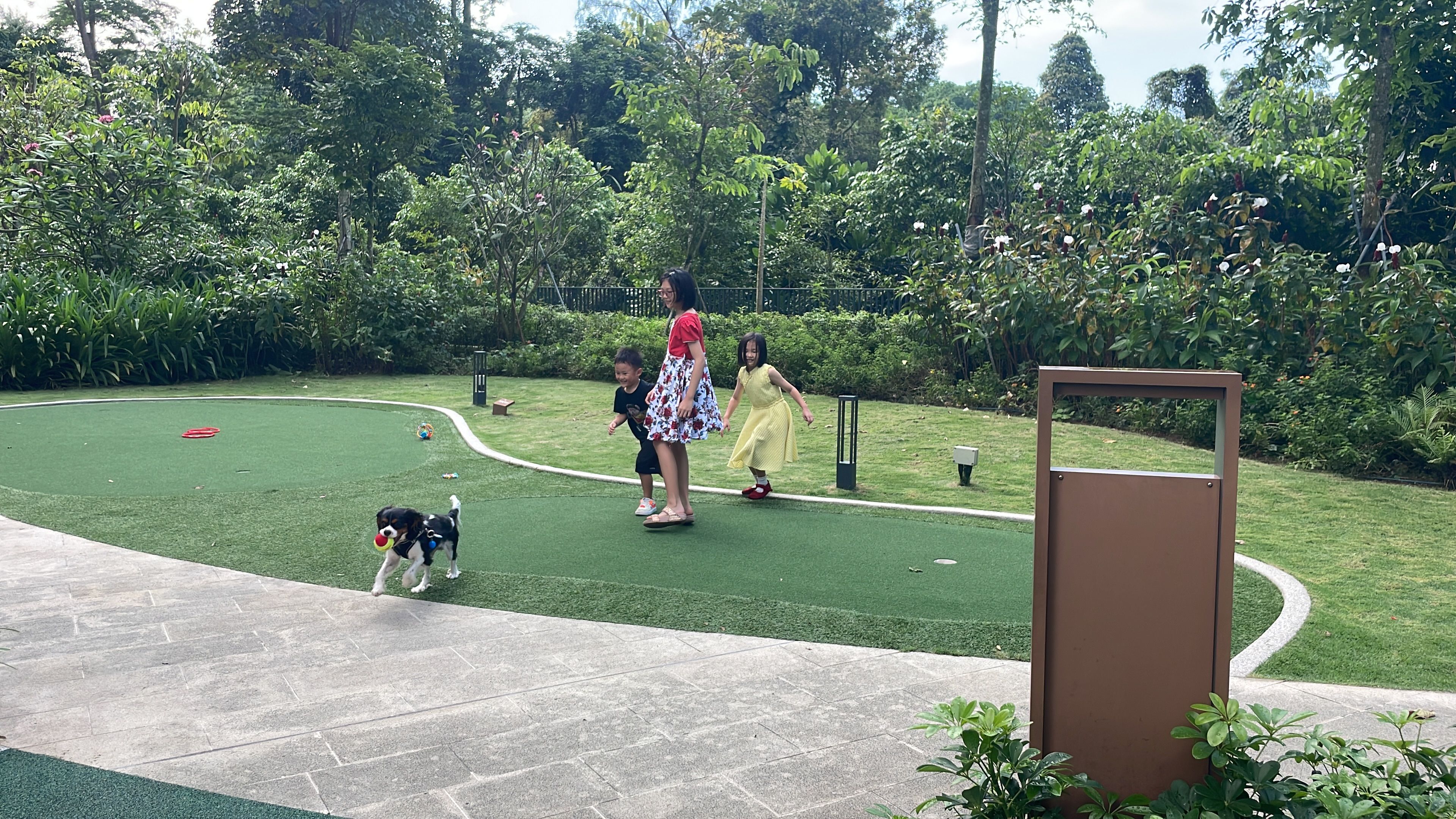 image-14