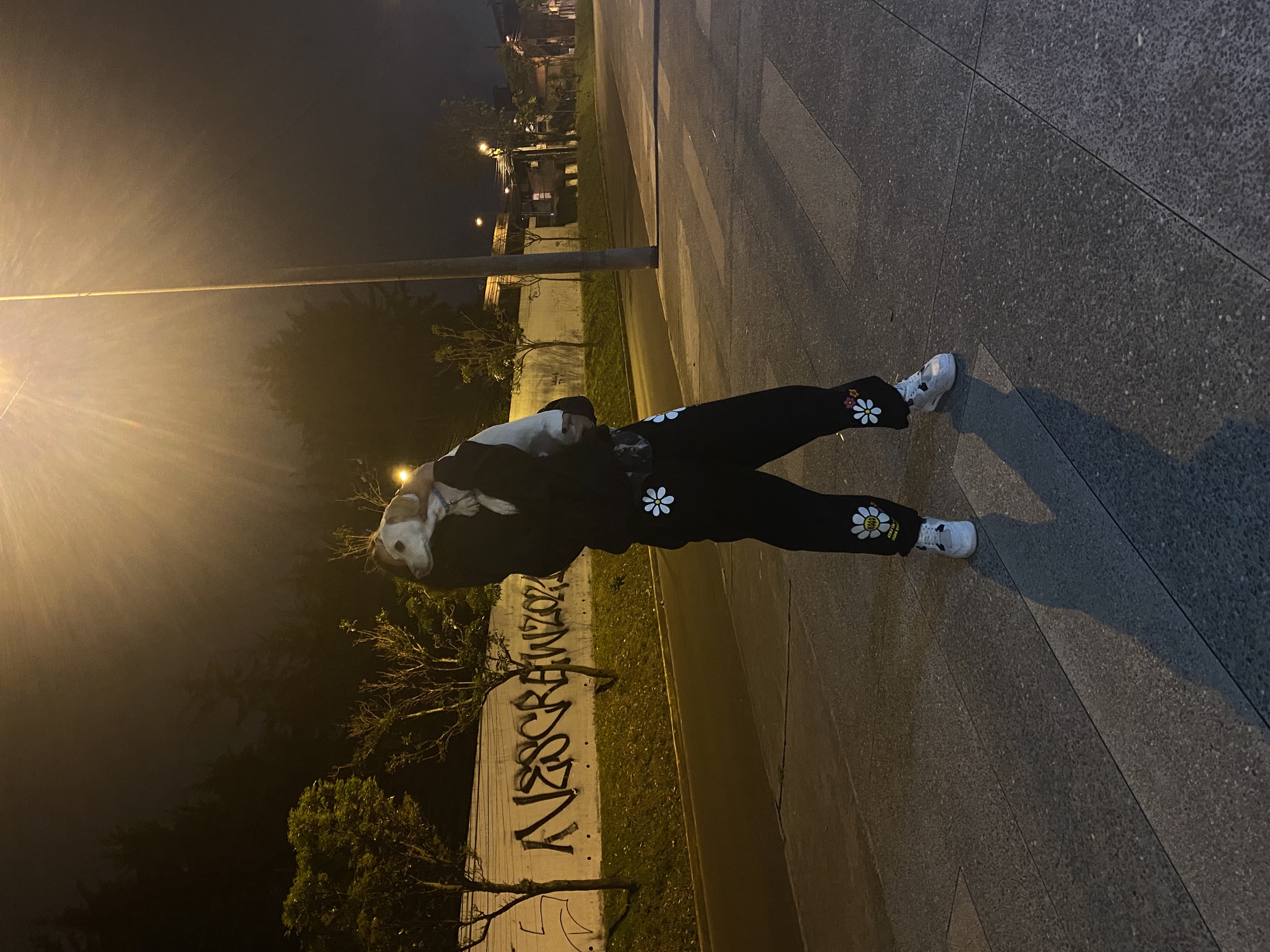 image-8