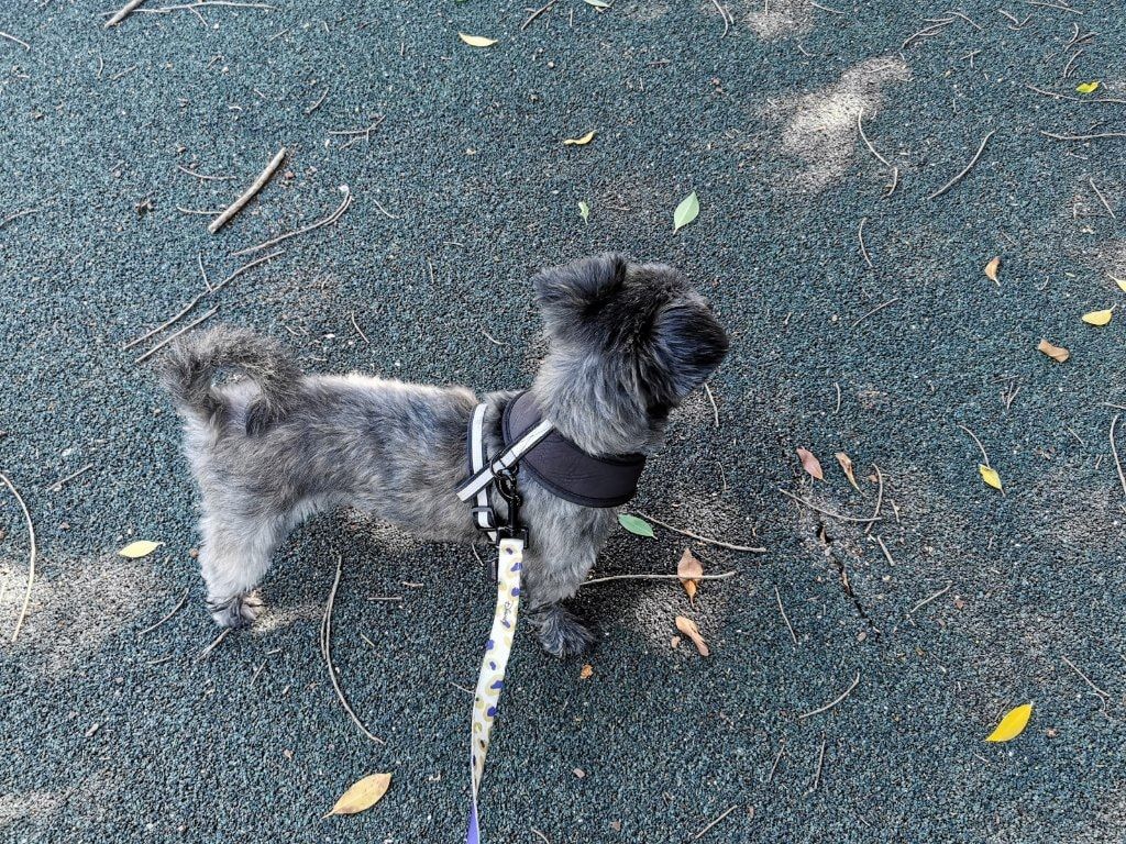 image-42