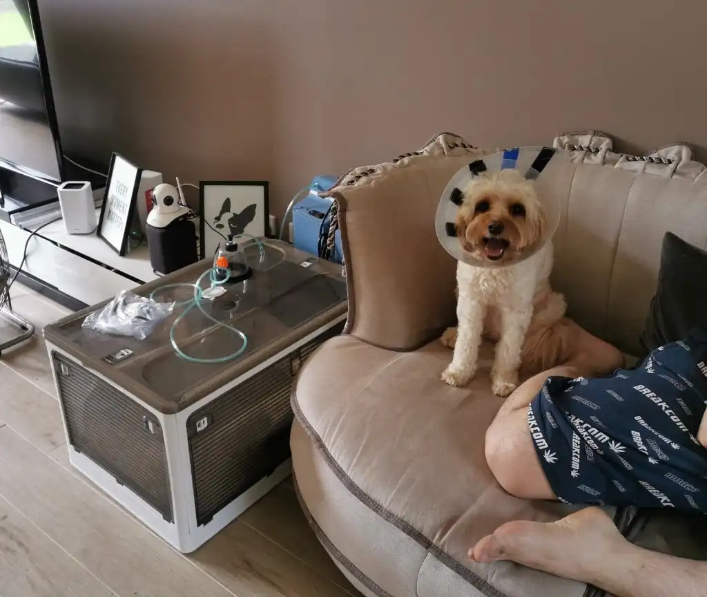 image-10