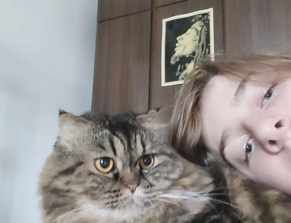 image-3
