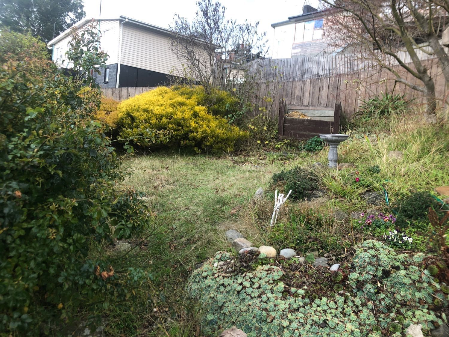 image-11