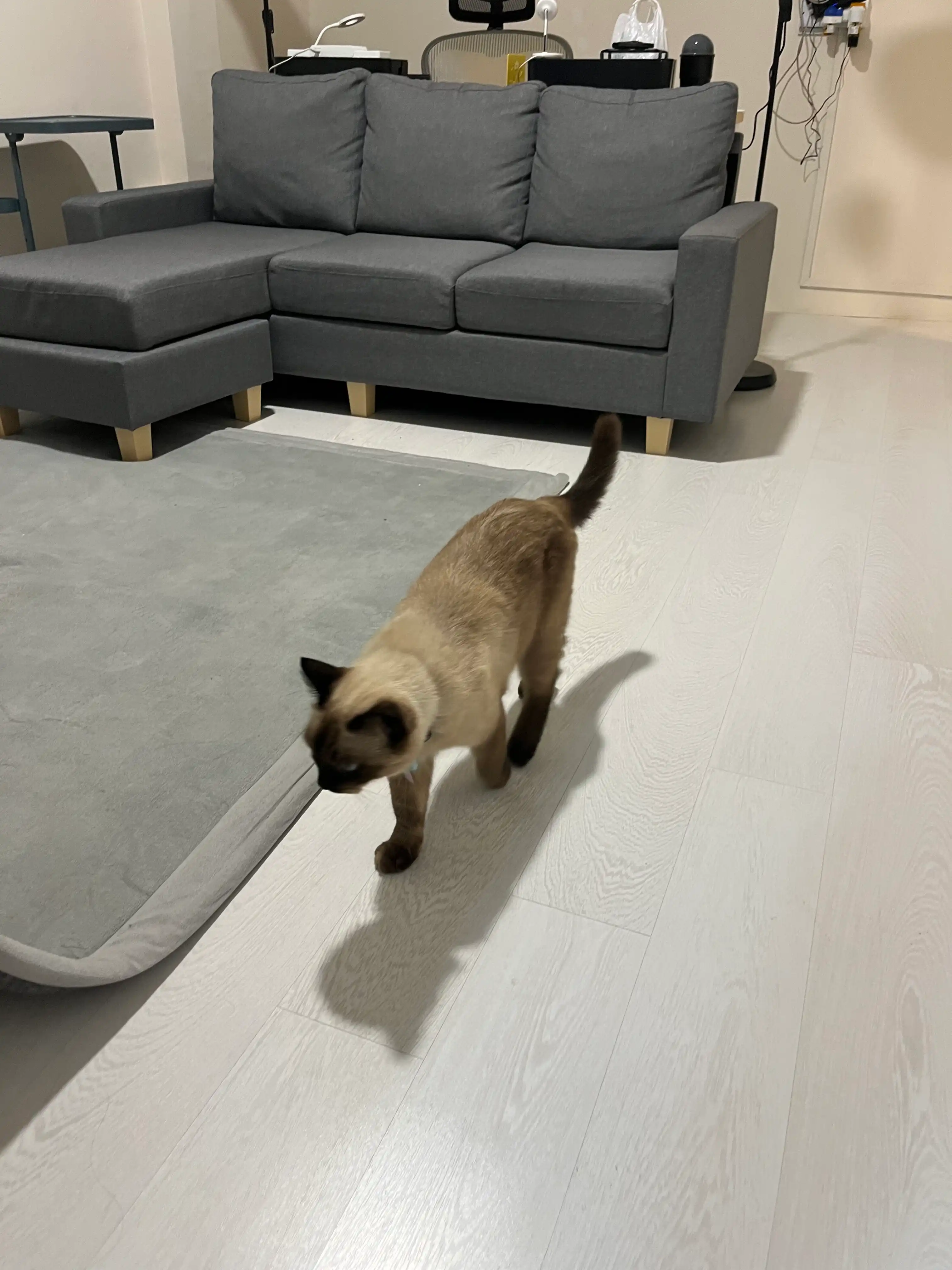image-11