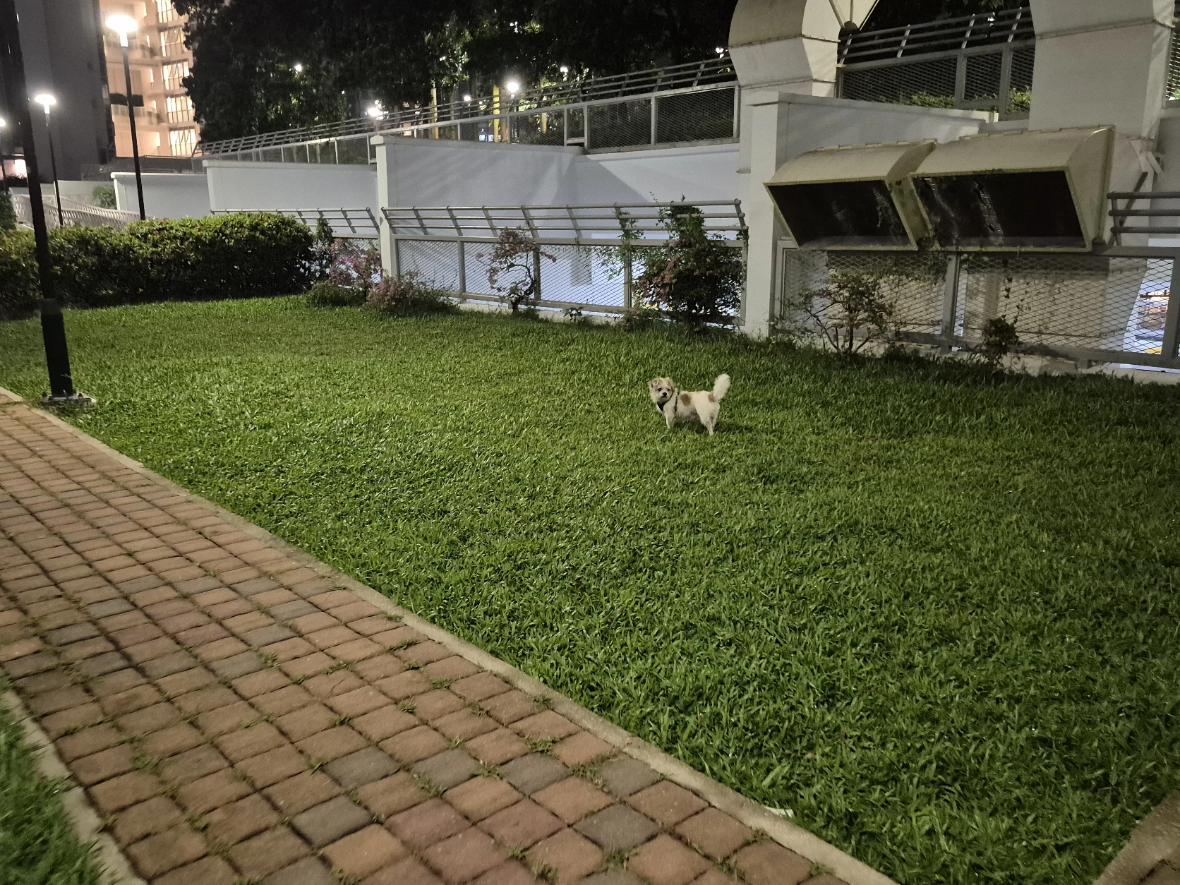 image-16