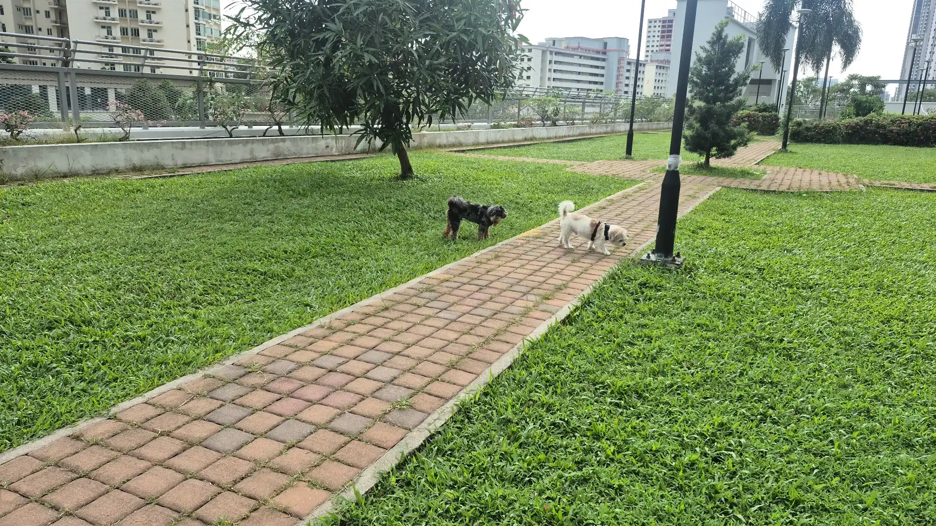 image-23