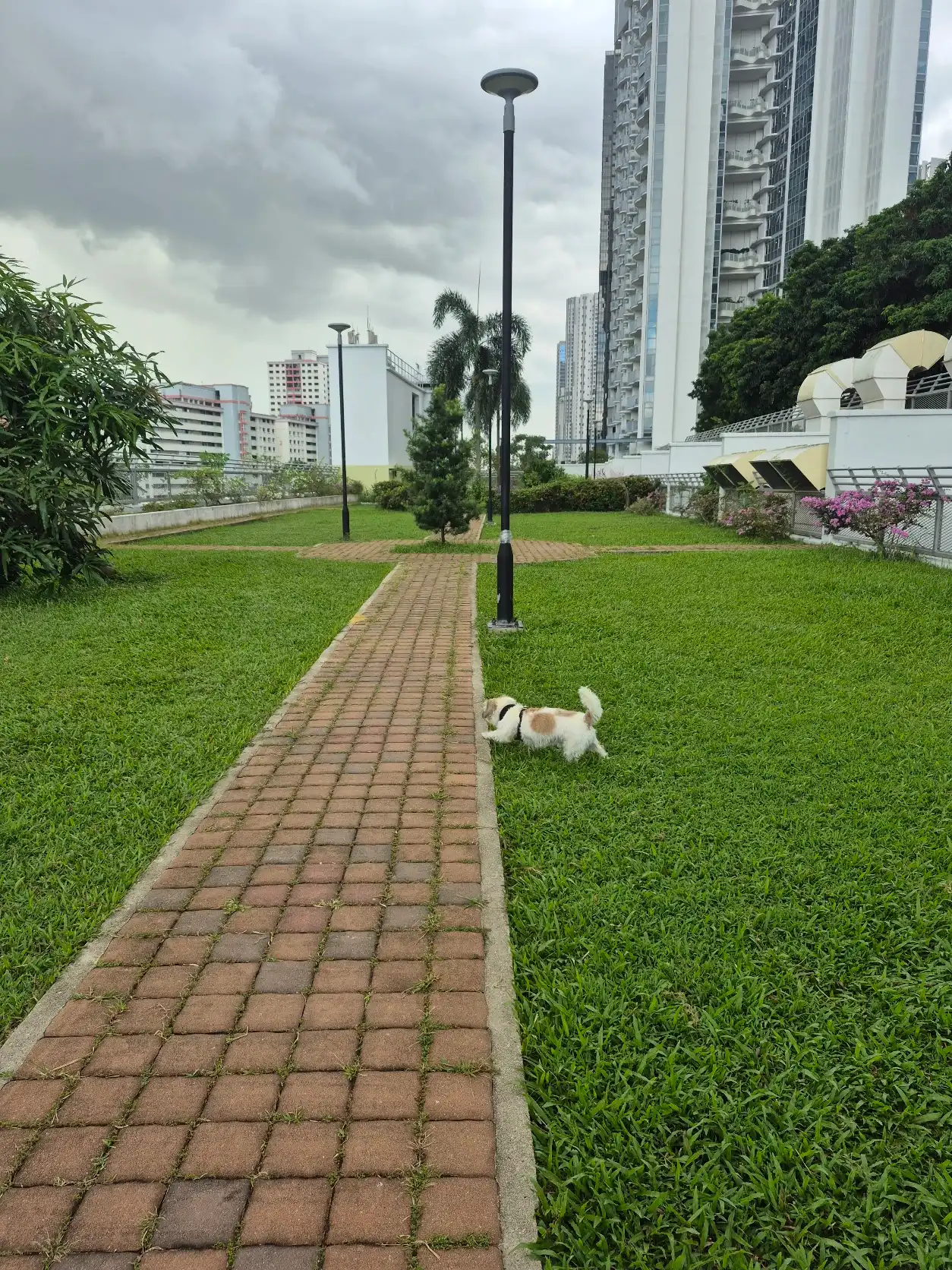 image-22