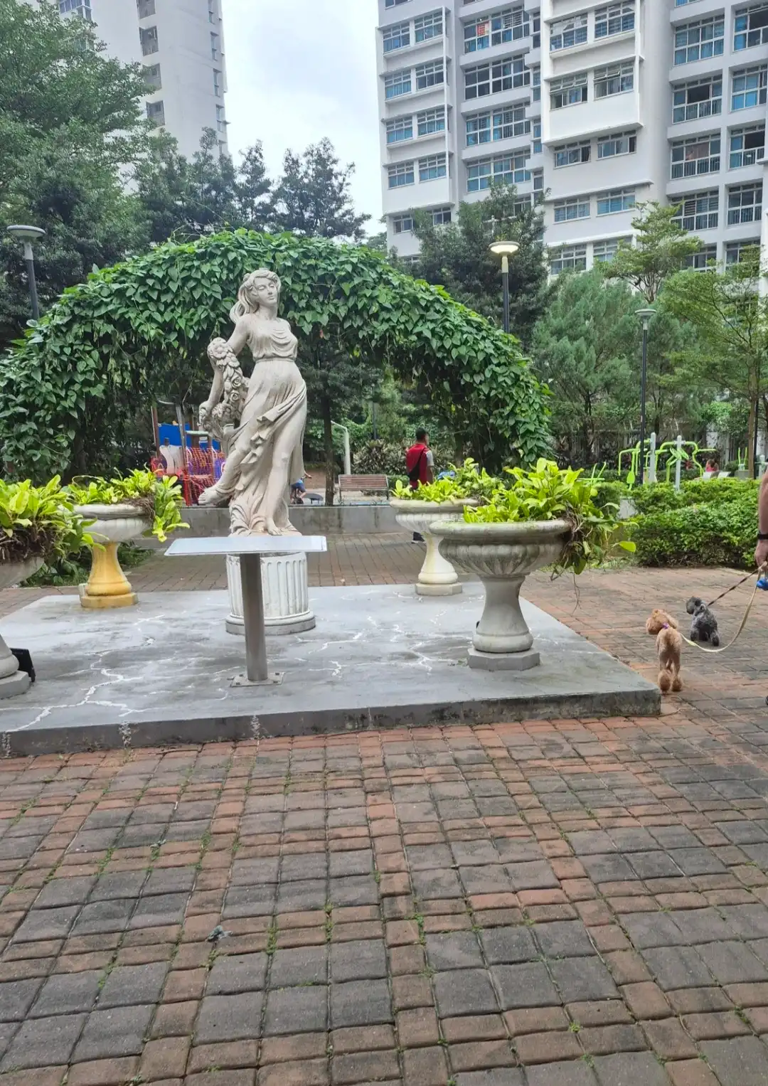 image-19