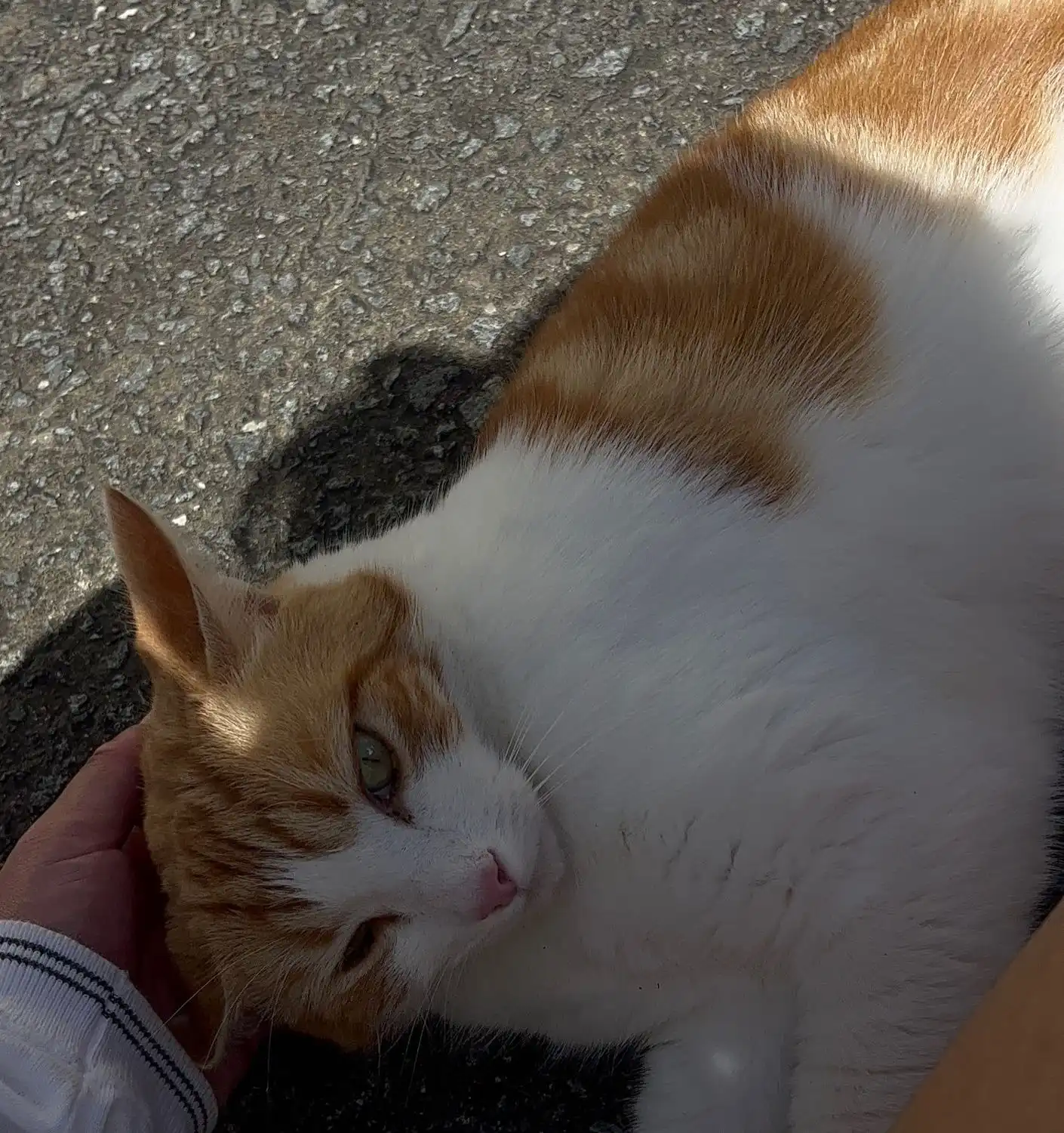 image-5