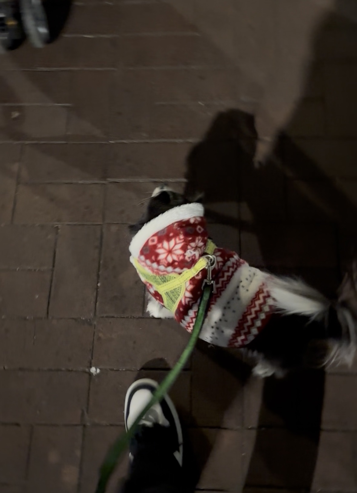image-7