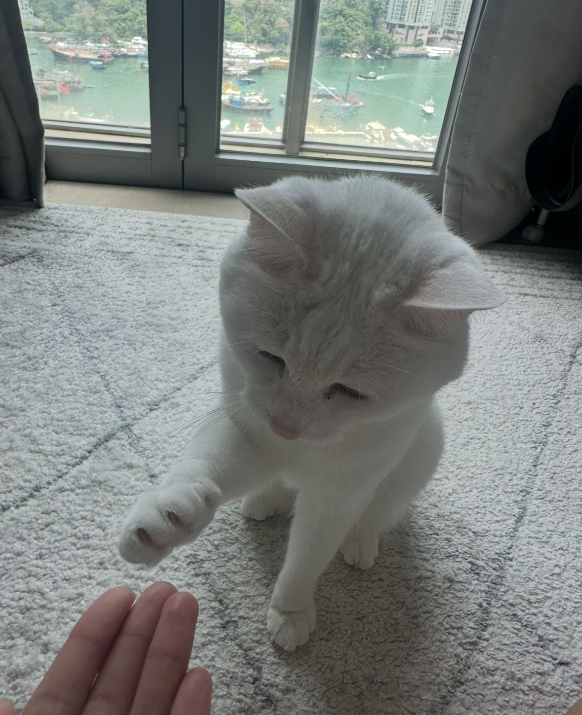 image-6