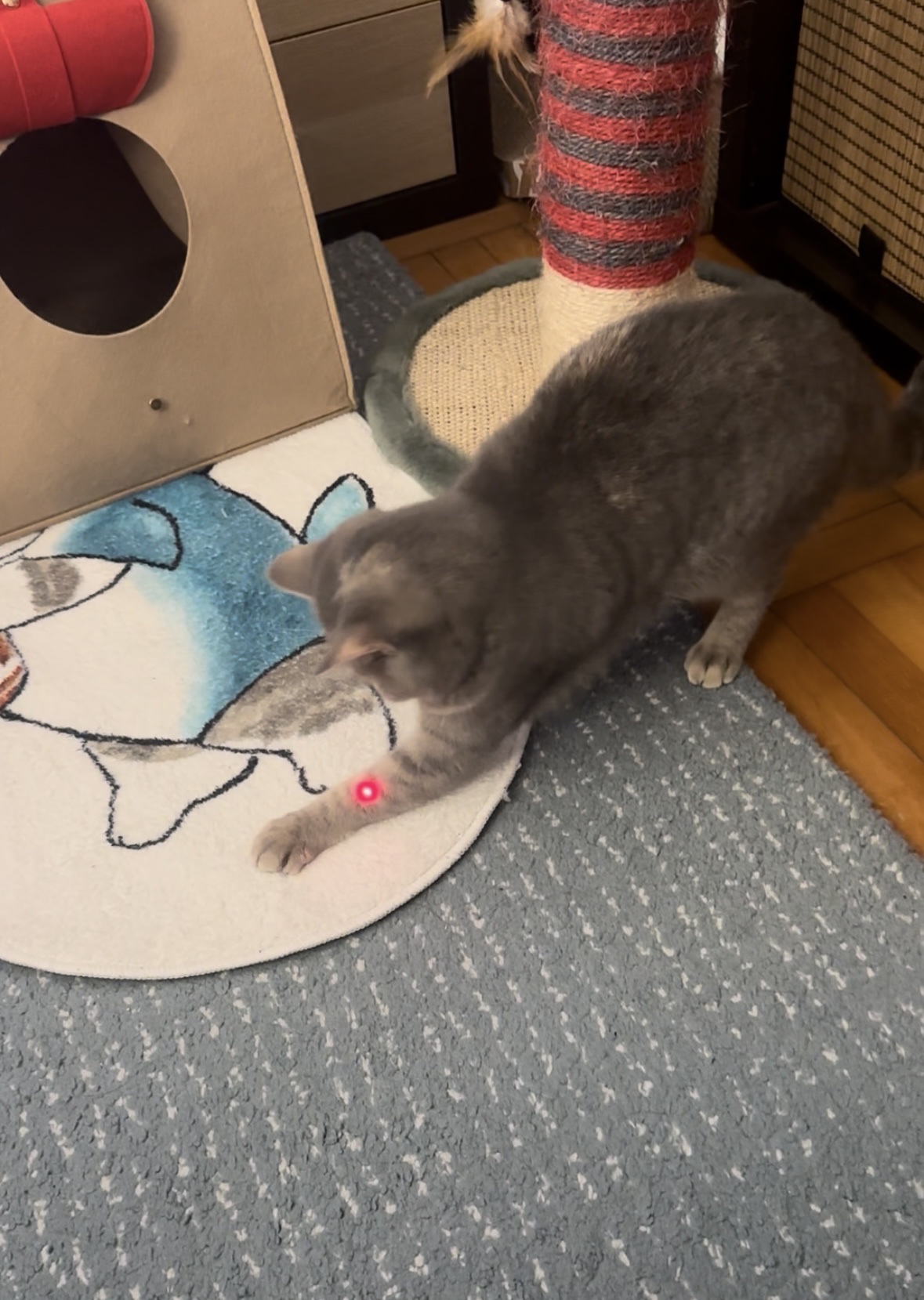 image-11