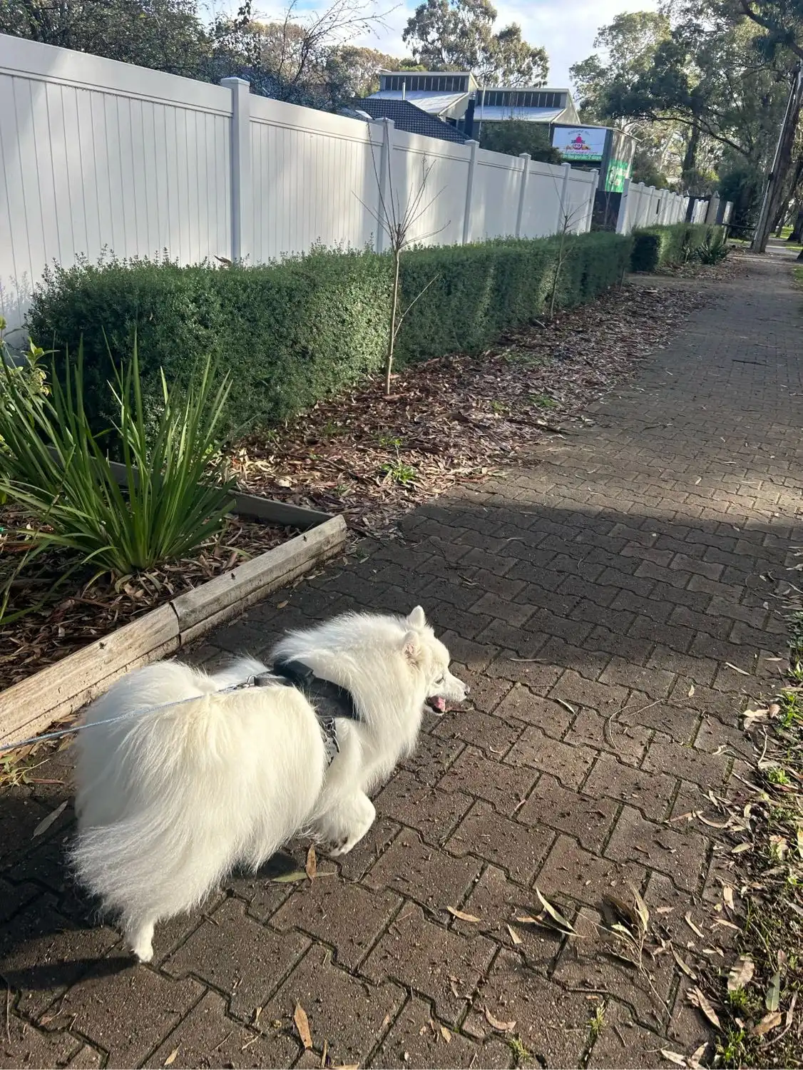 image-6