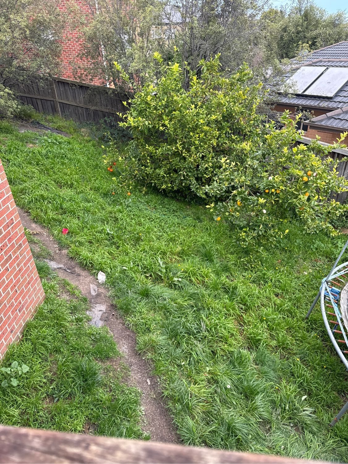 image-7