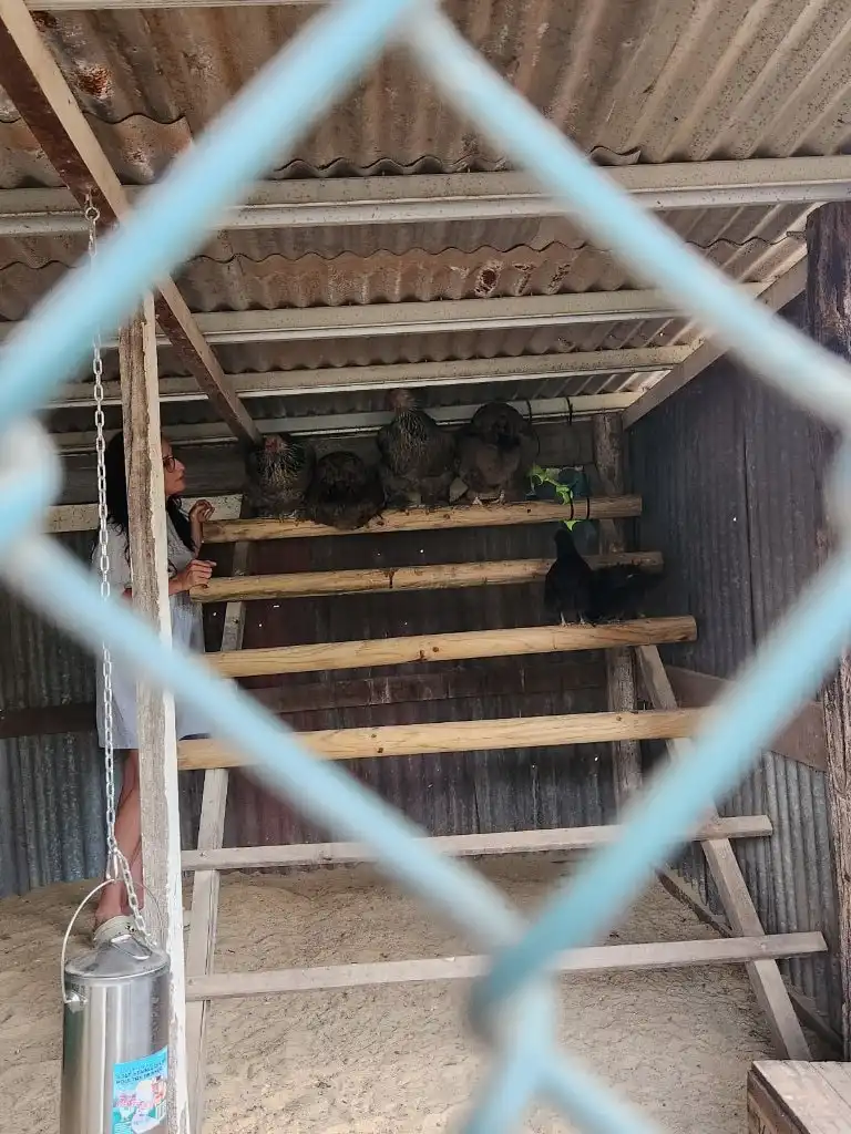 image-9