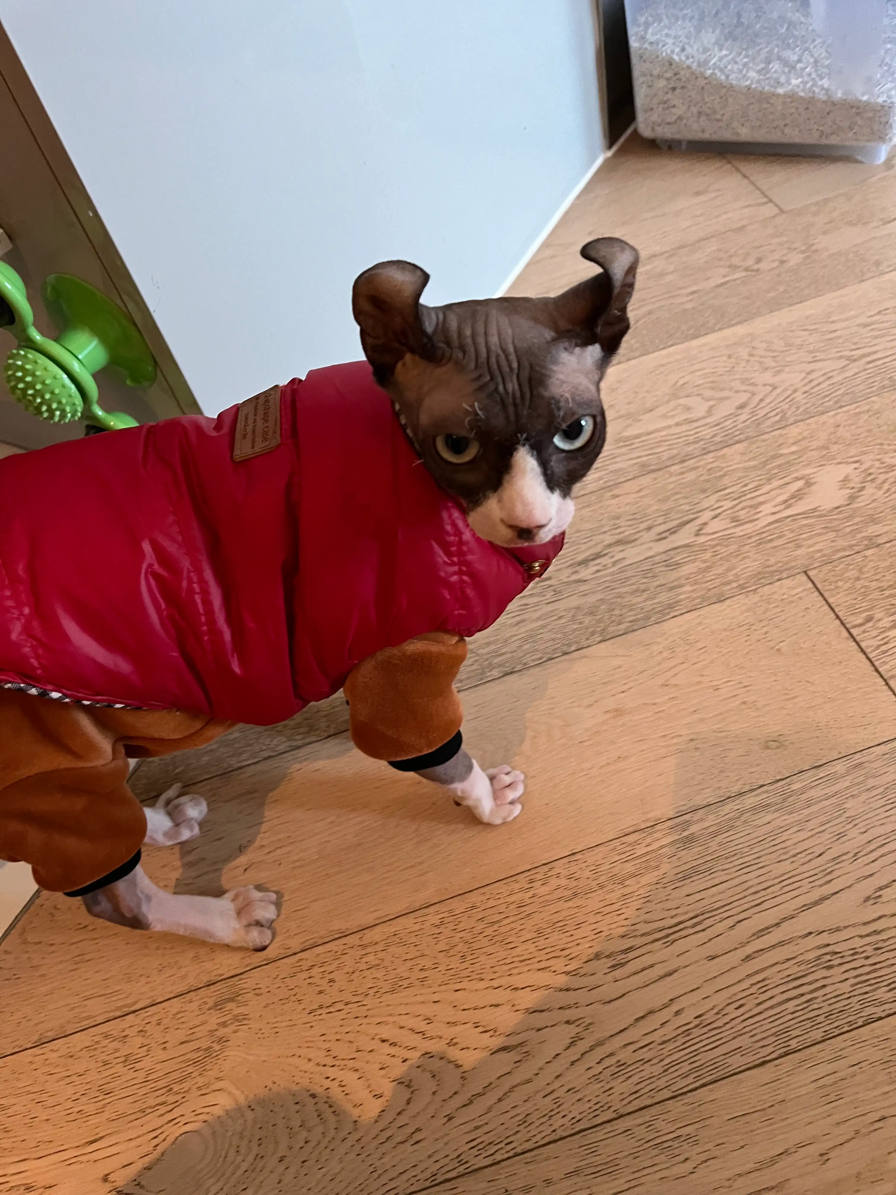 image-12