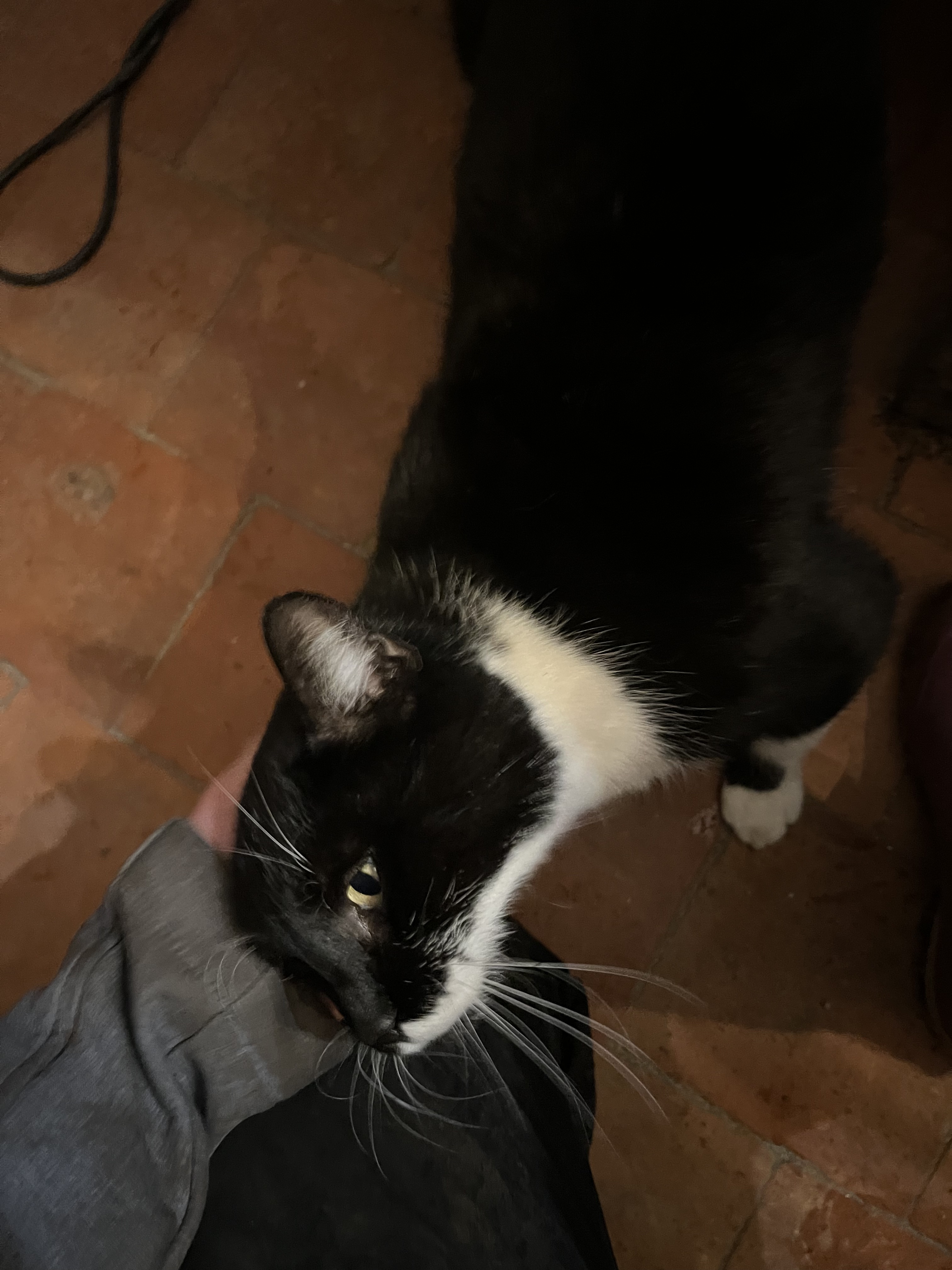 image-8