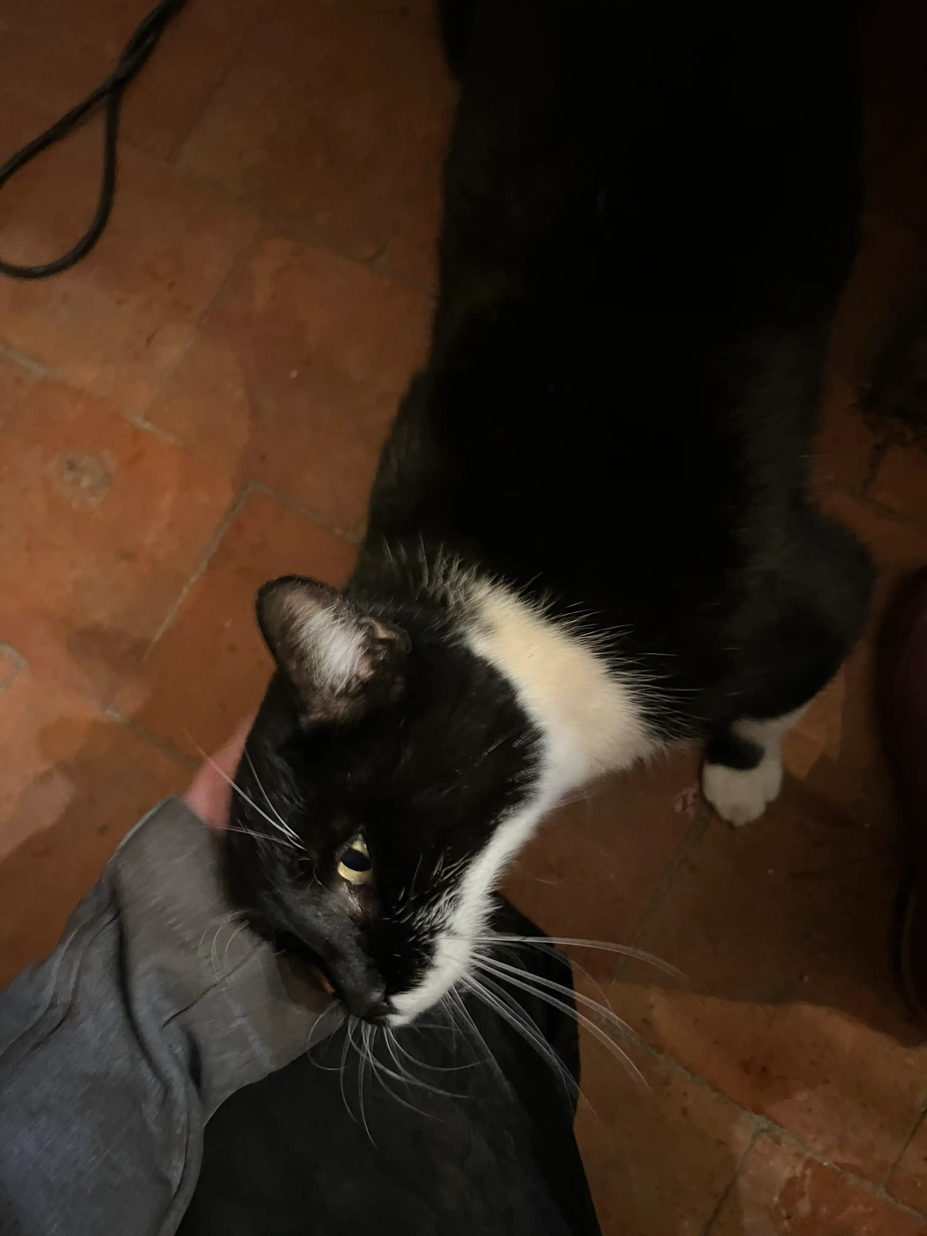 image-8