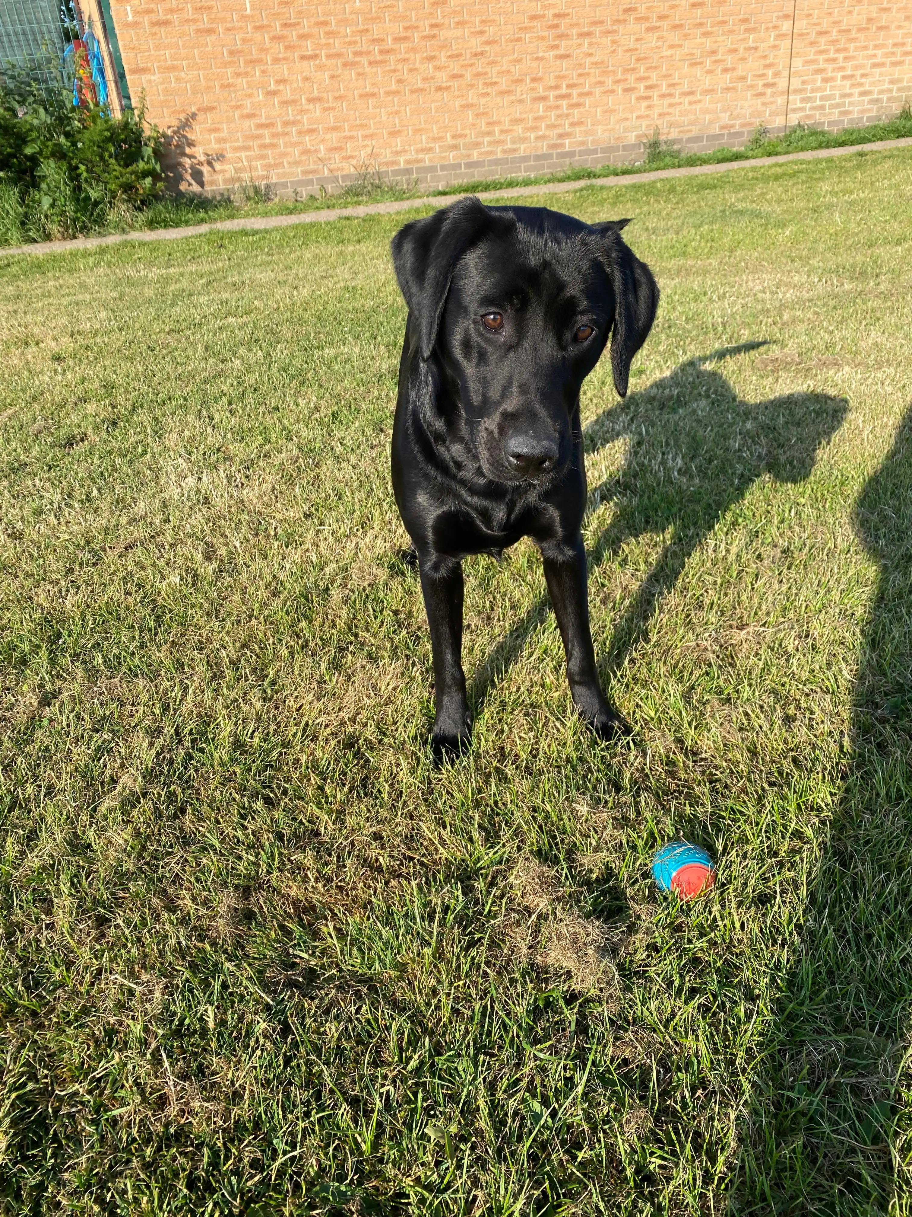 image-6