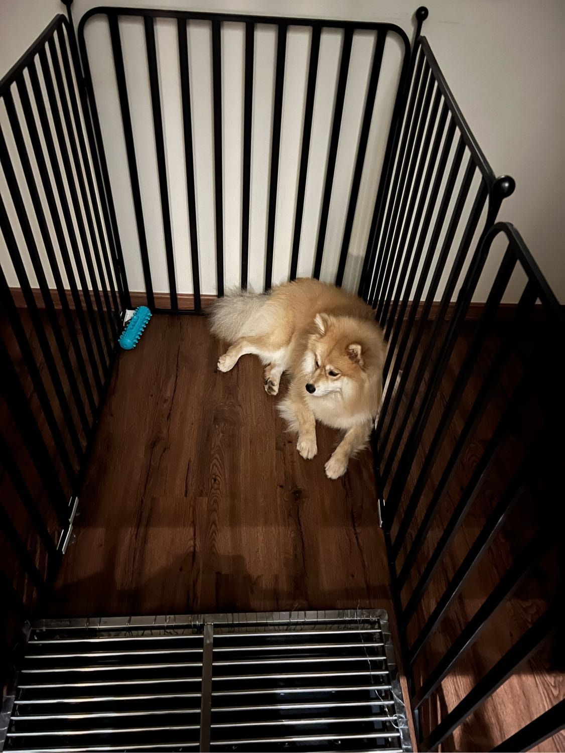 image-4