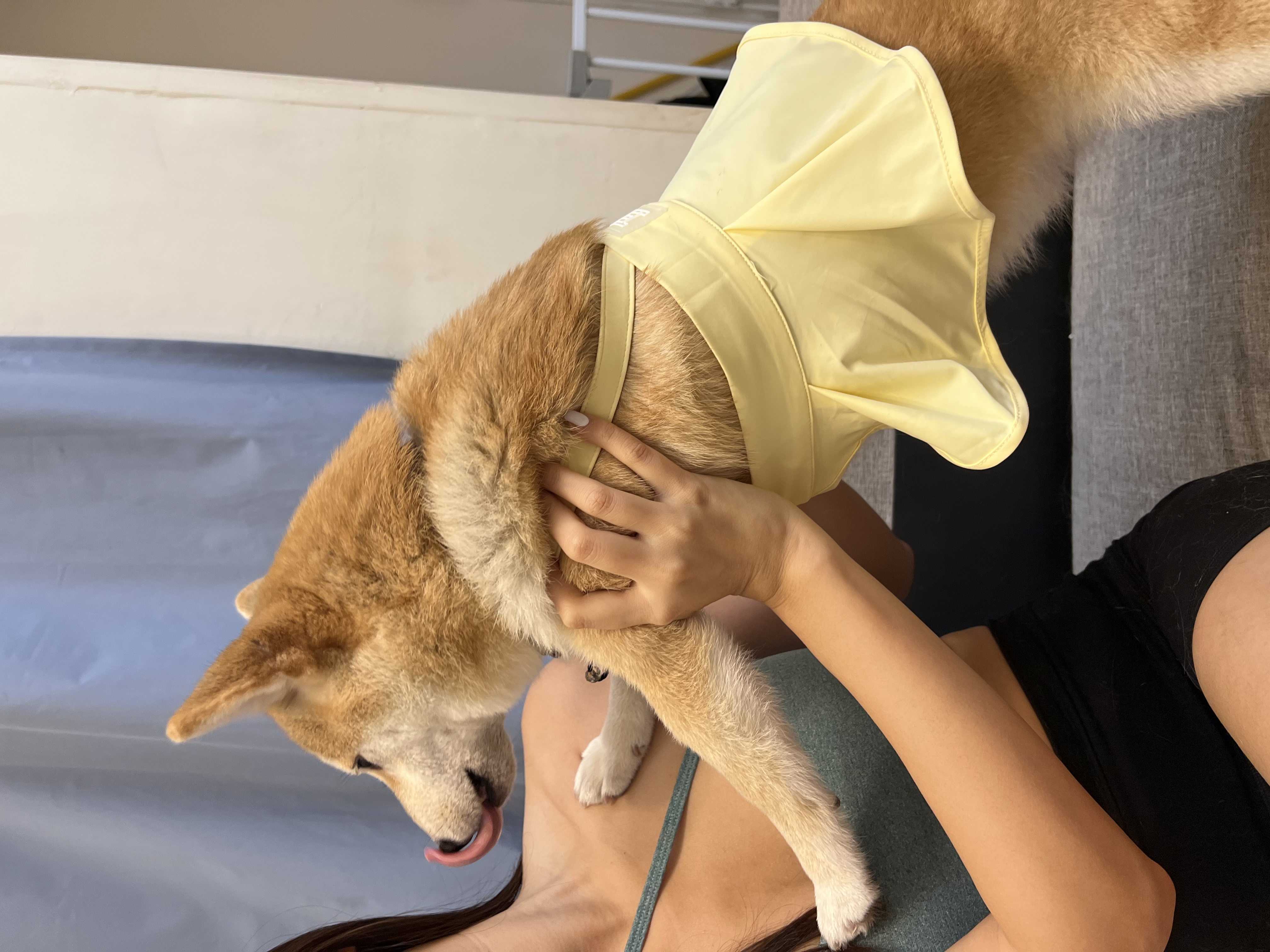 image-6