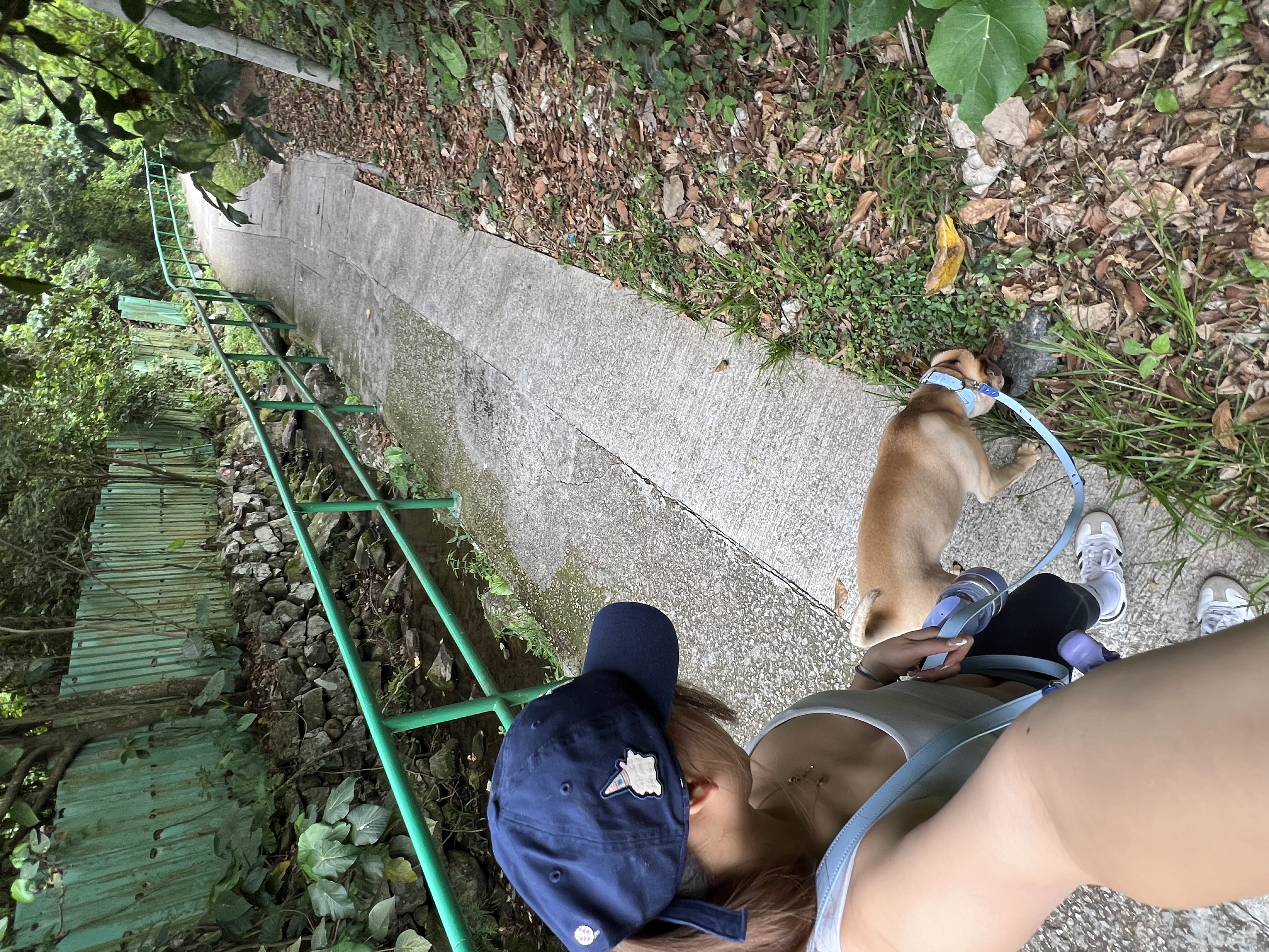 image-8