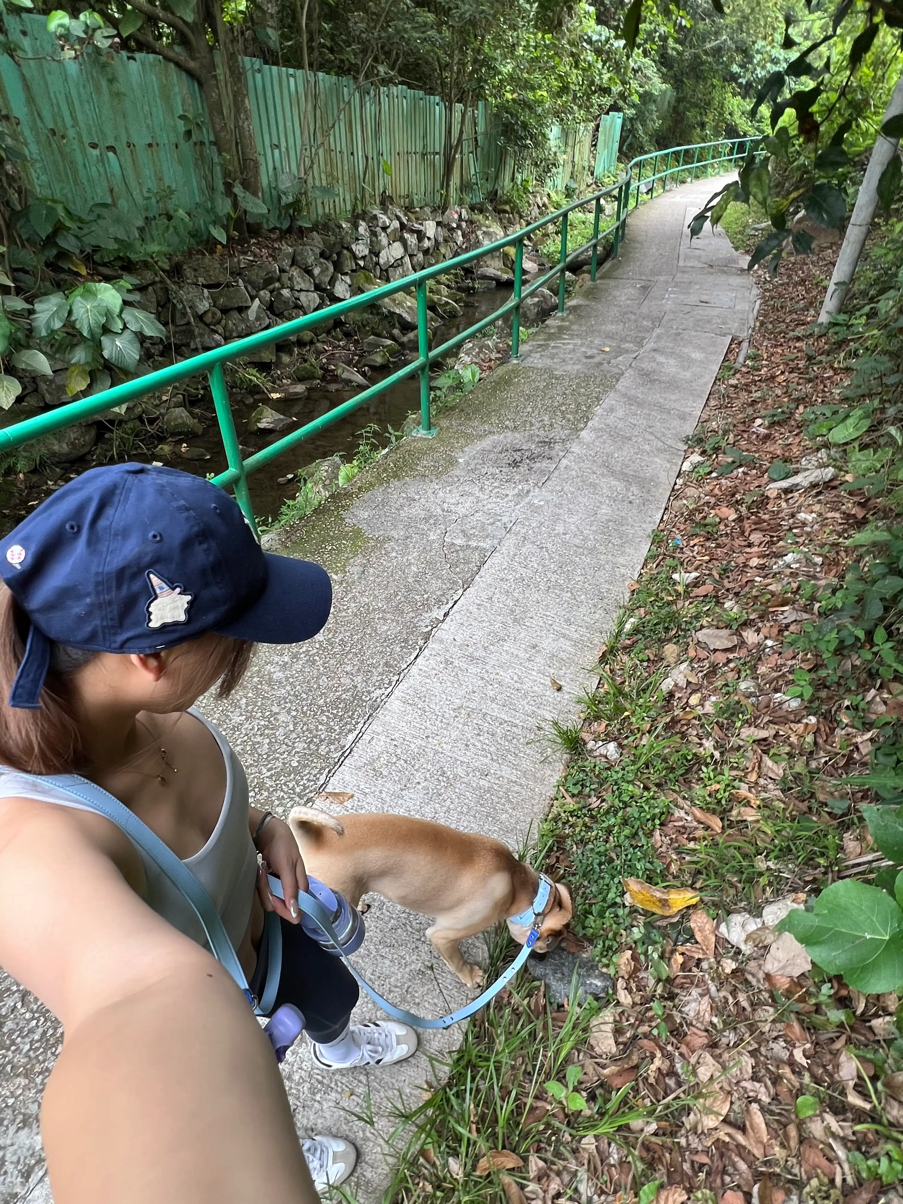 image-8