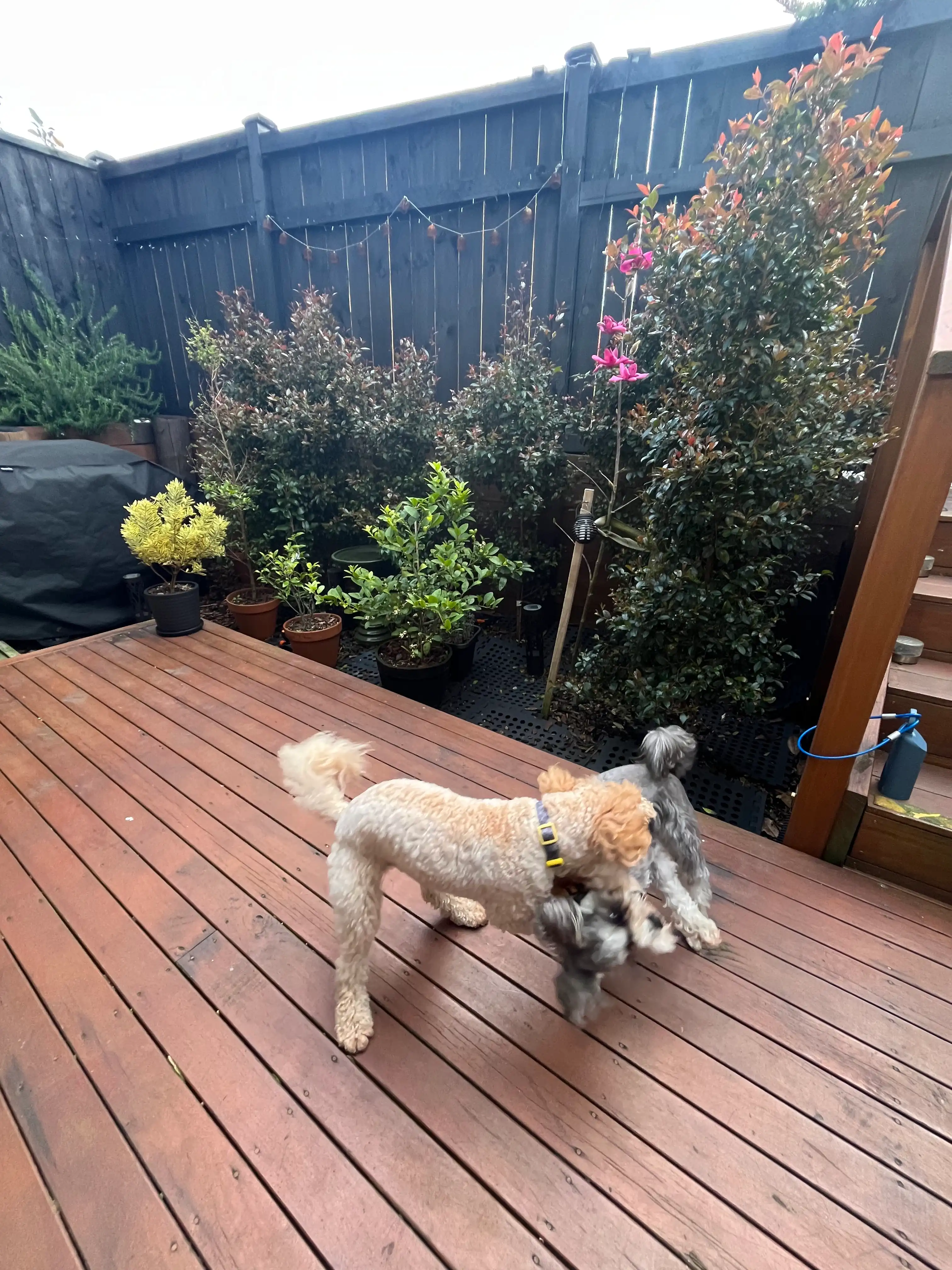 image-11